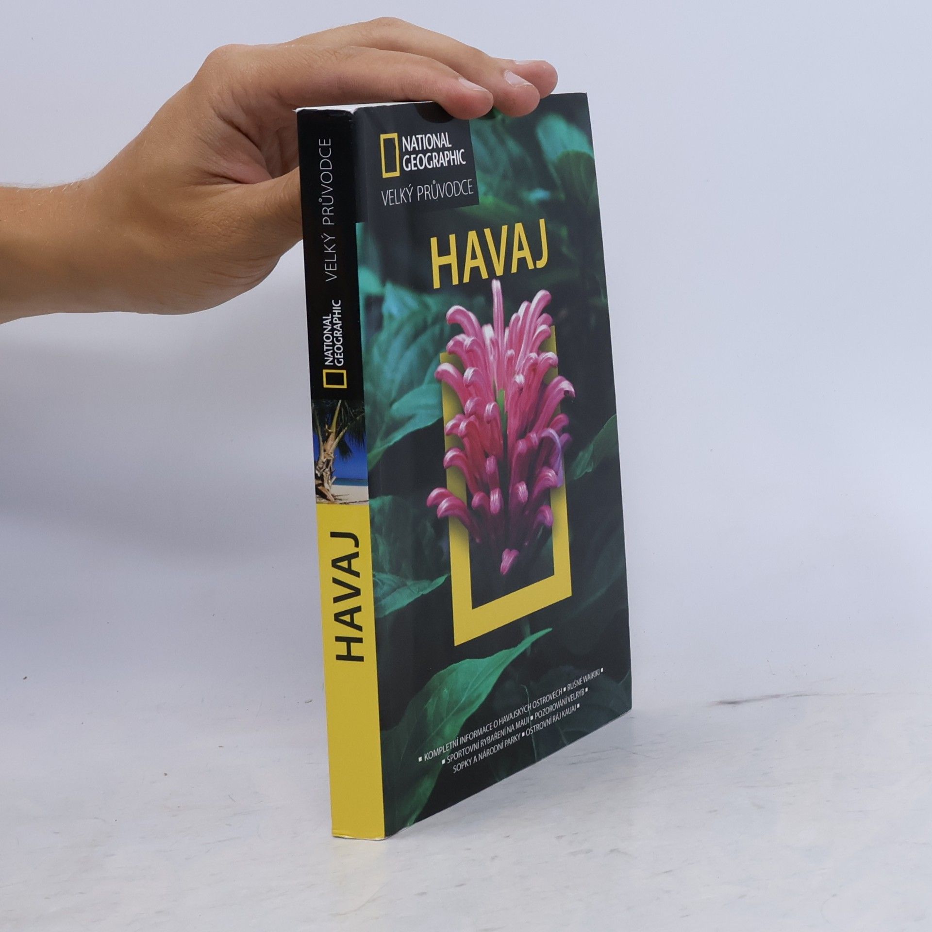 Rita Ariyoshi Havaj