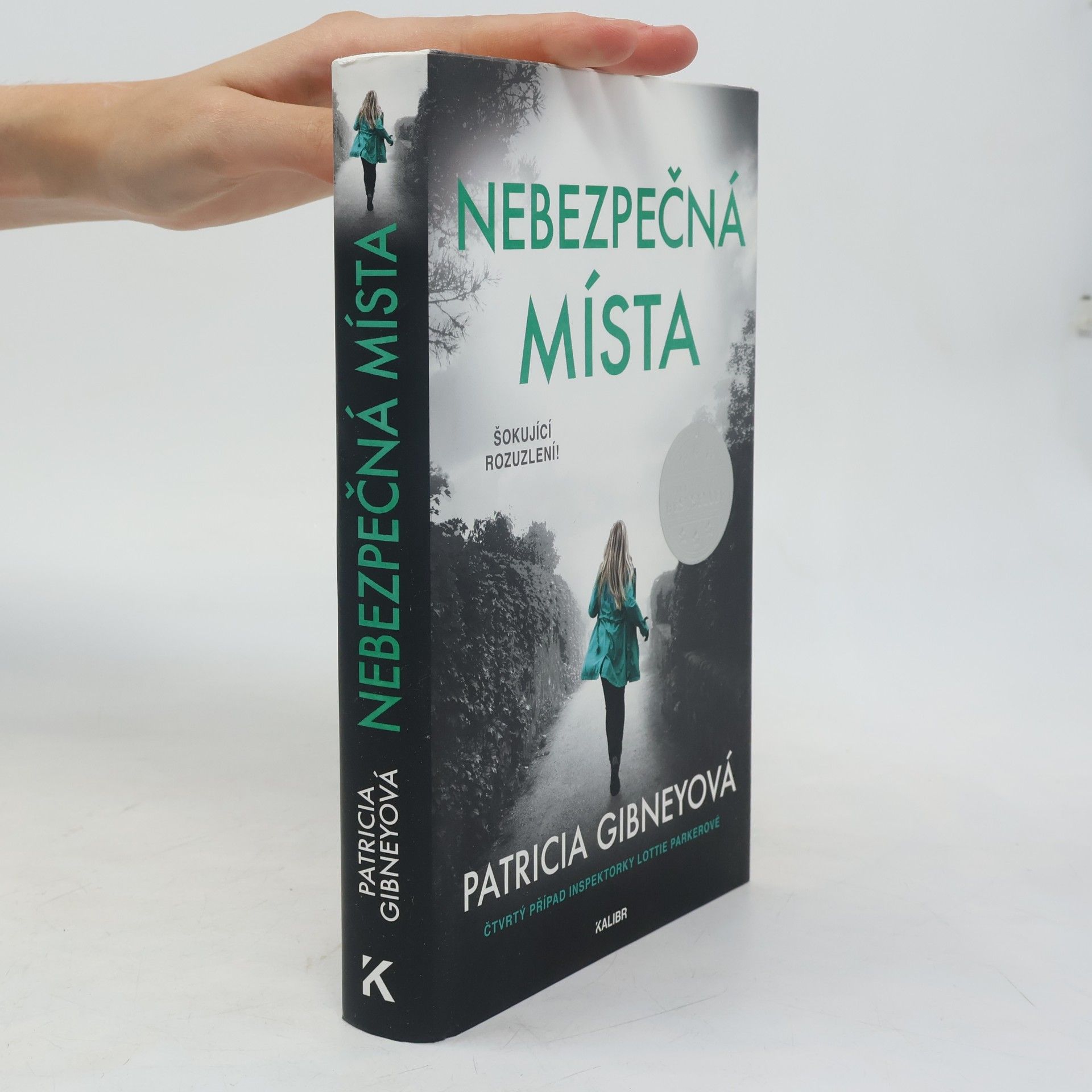 Patricia Gibney Nebezpečná místa