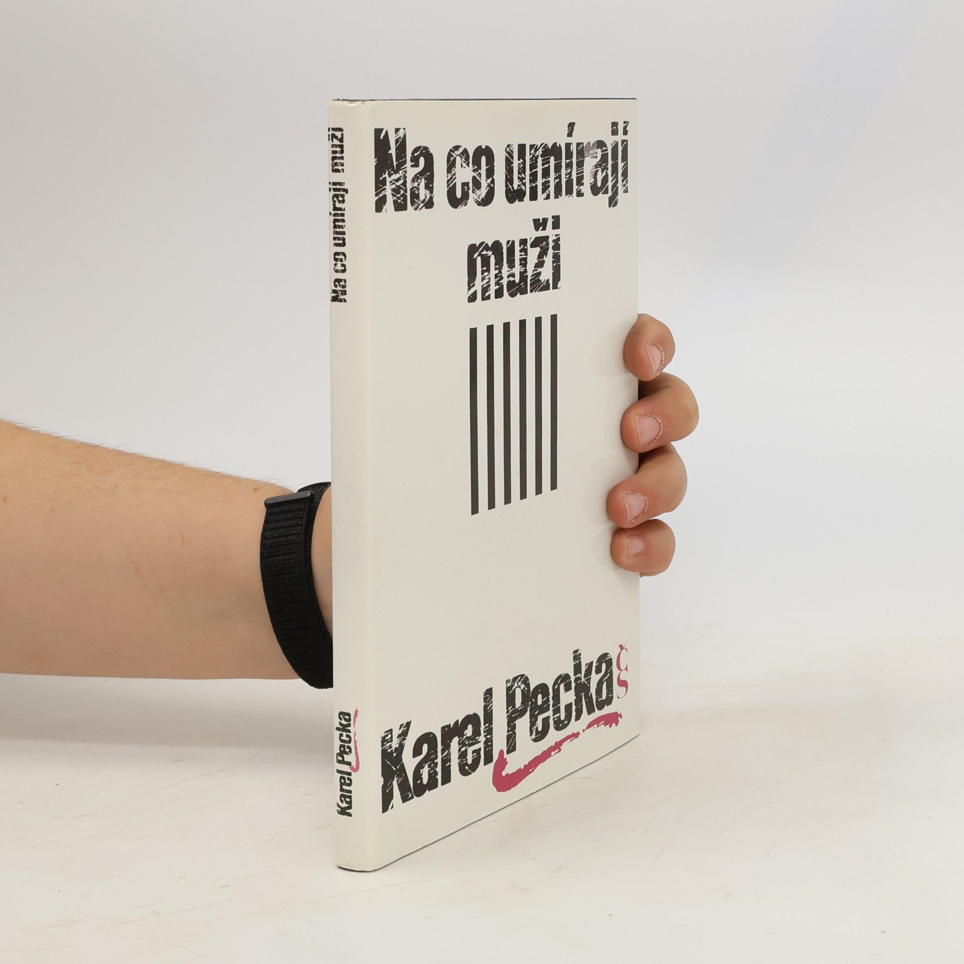 Karel Pecka Na co umírají muži