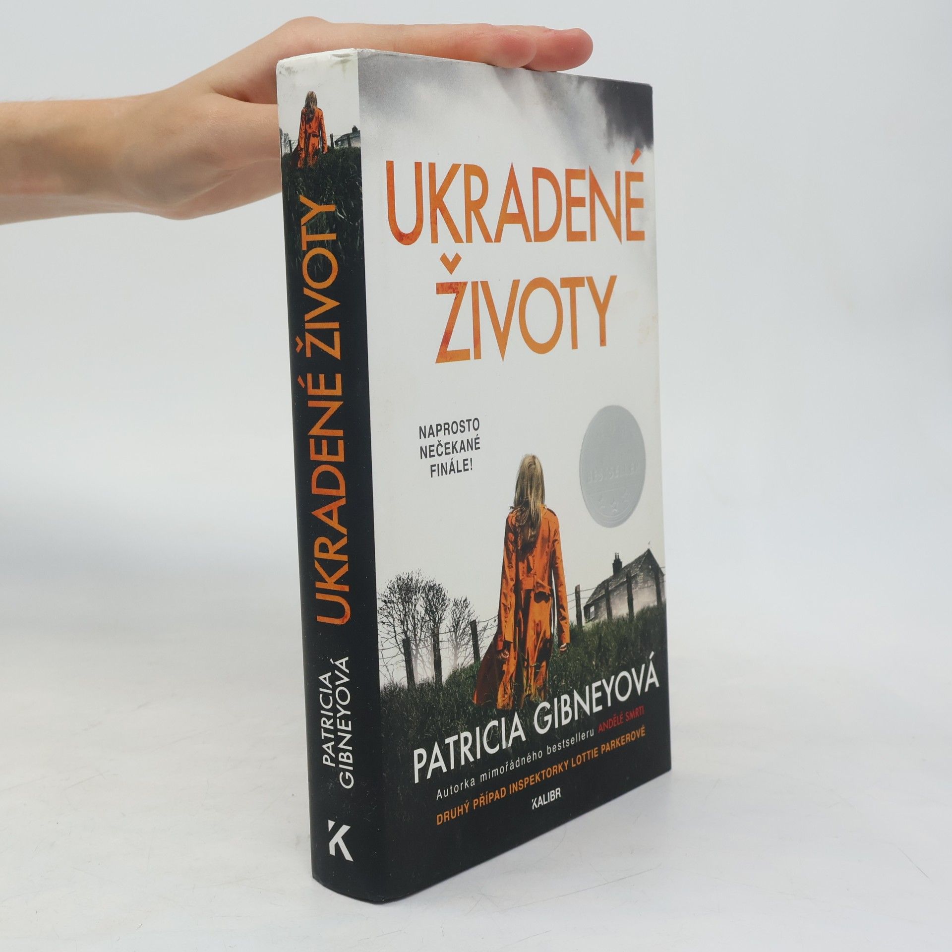 Patricia Gibney Ukradené životy