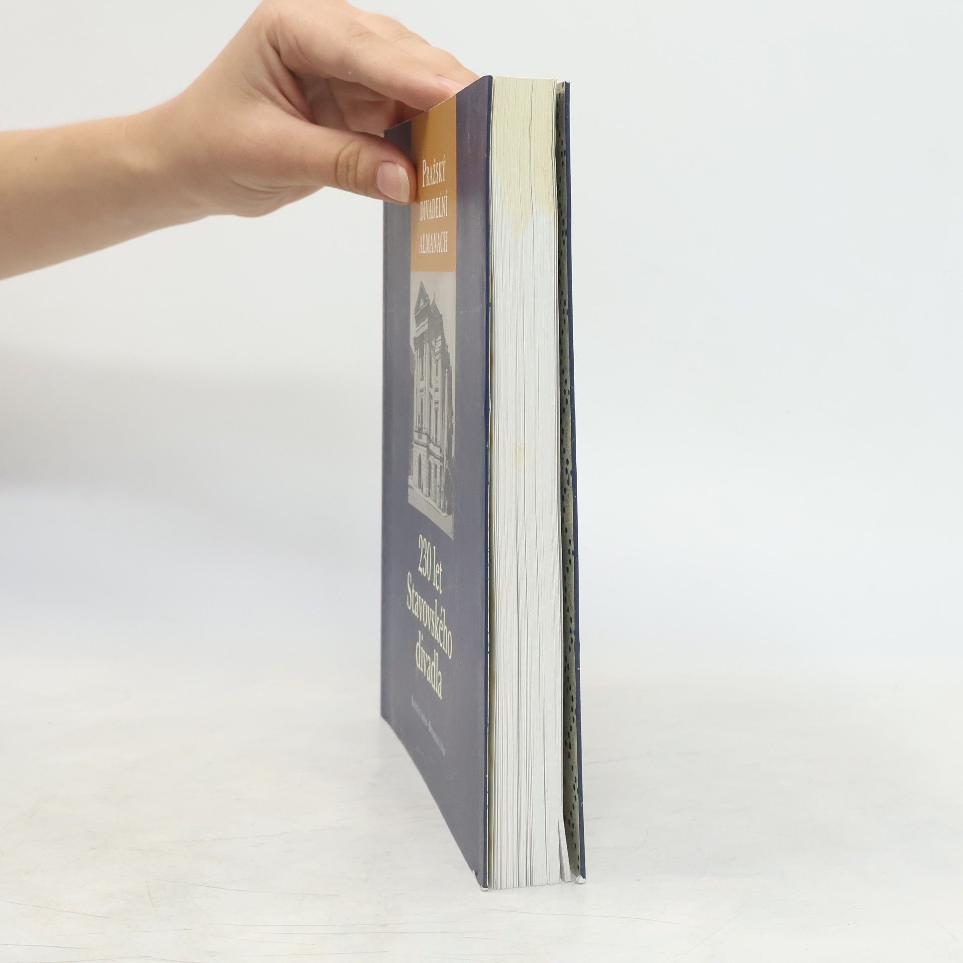 Autorenkollektiv Pražský divadelní almanach : 230 let Stavovského divadla