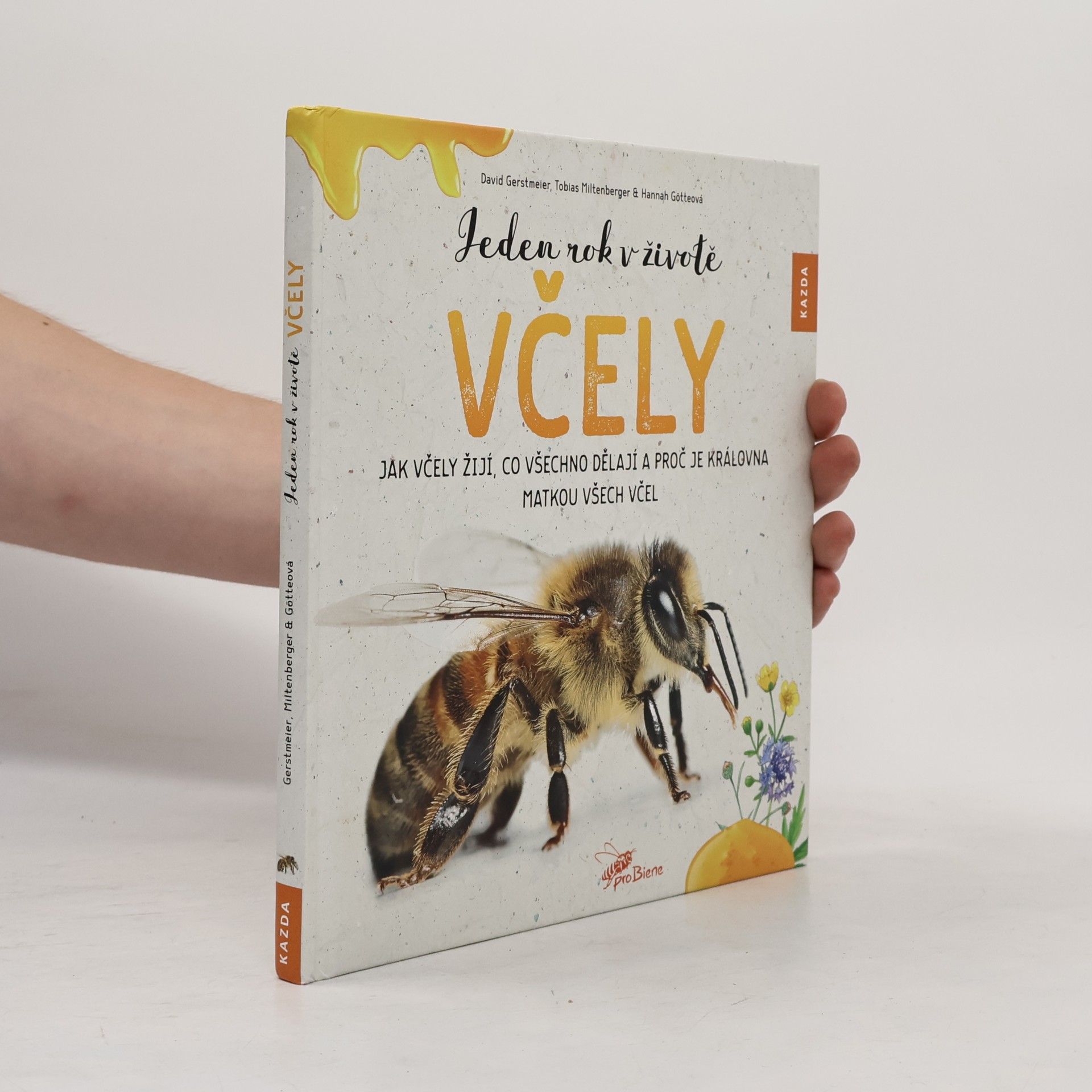 Tobias Miltenberger Jeden rok v životě včely