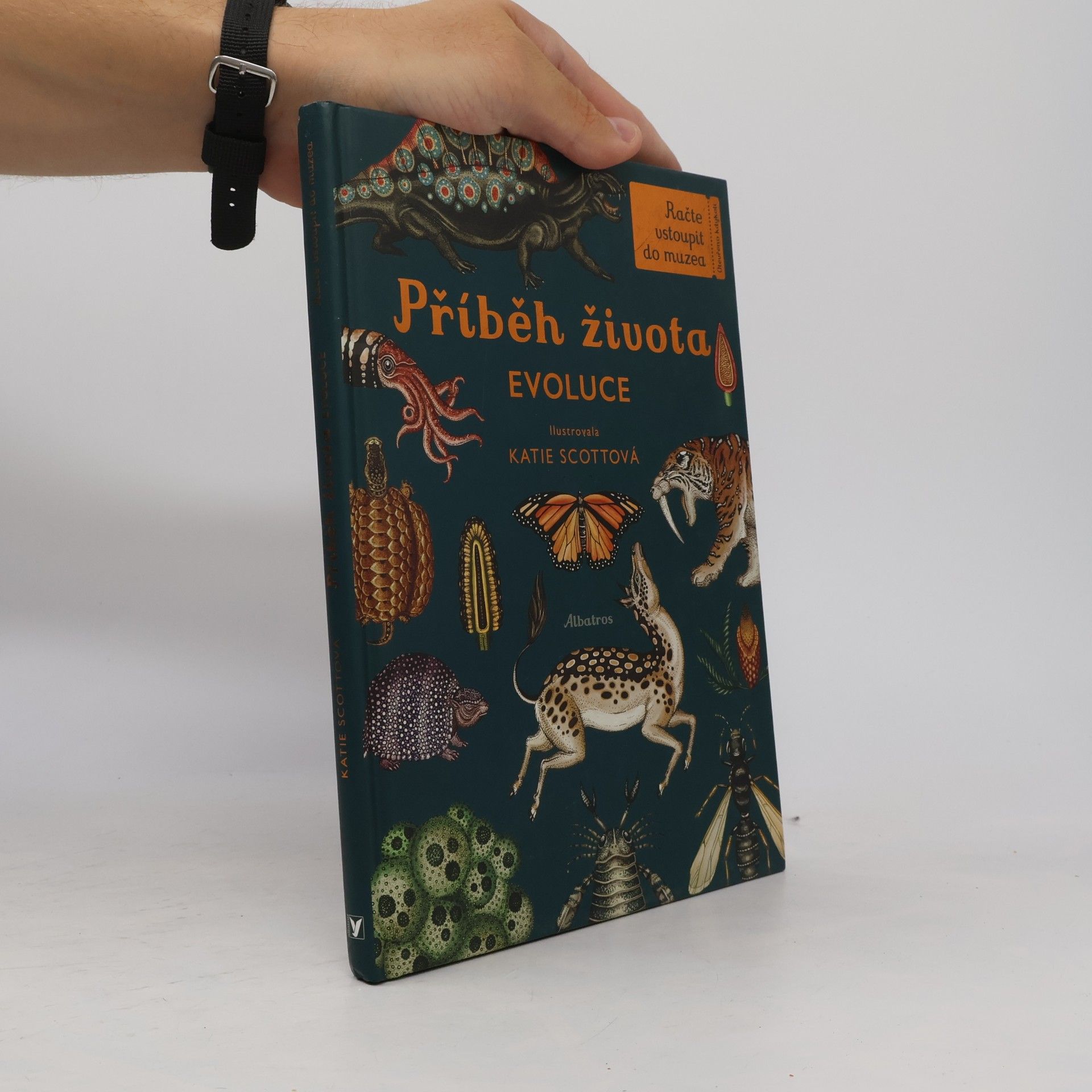 Ruth Symons Příběh života: Evoluce