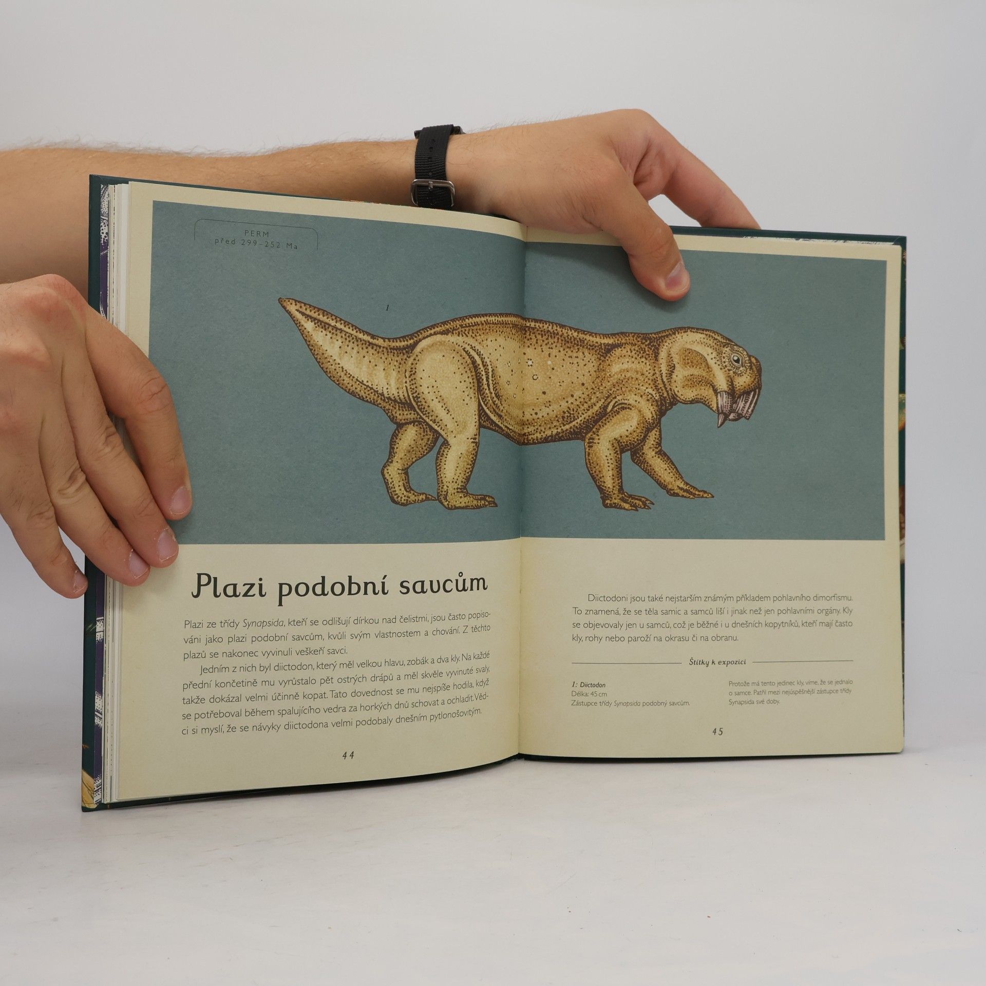 Fiona Munro Příběh života: Evoluce