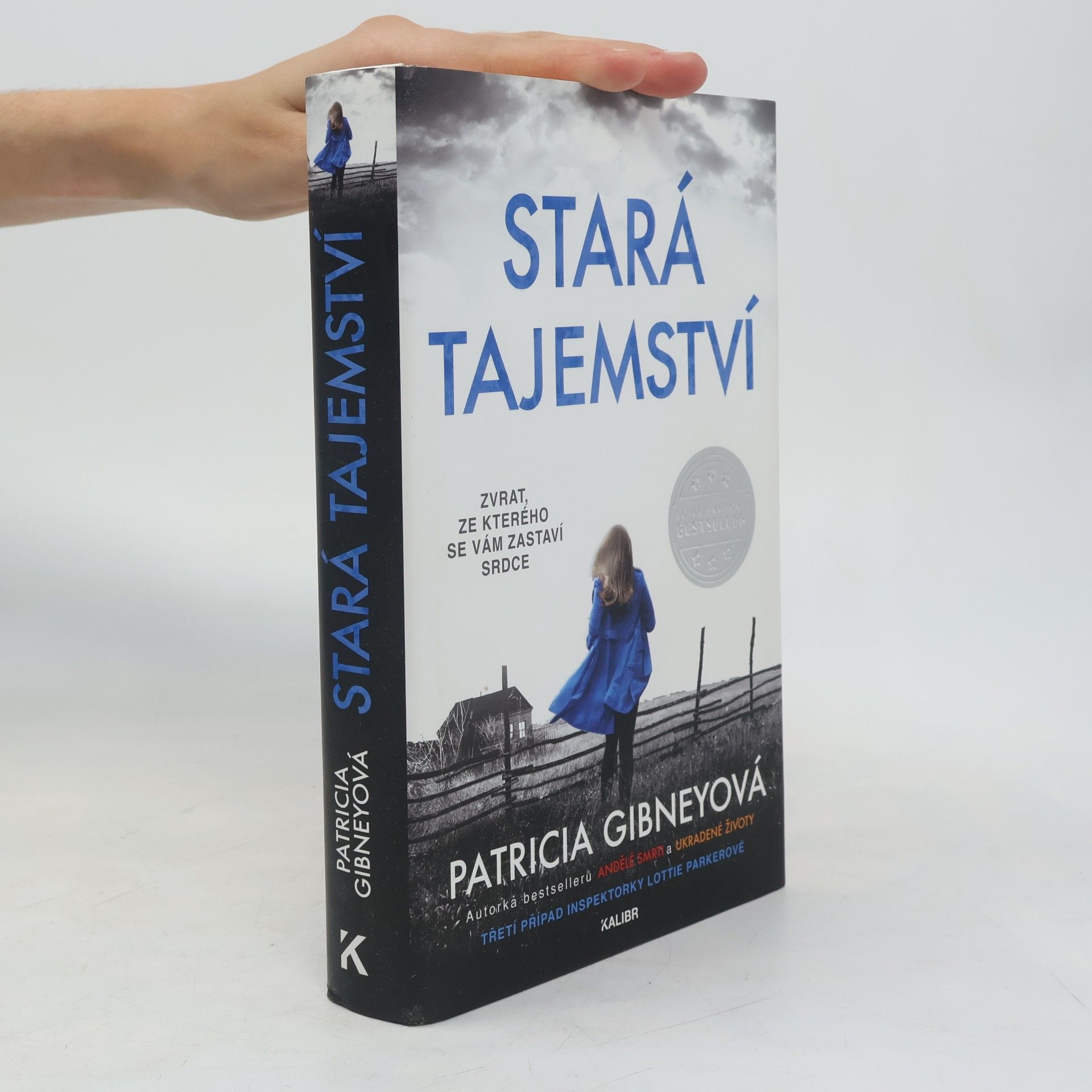 Patricia Gibney Stará tajemství