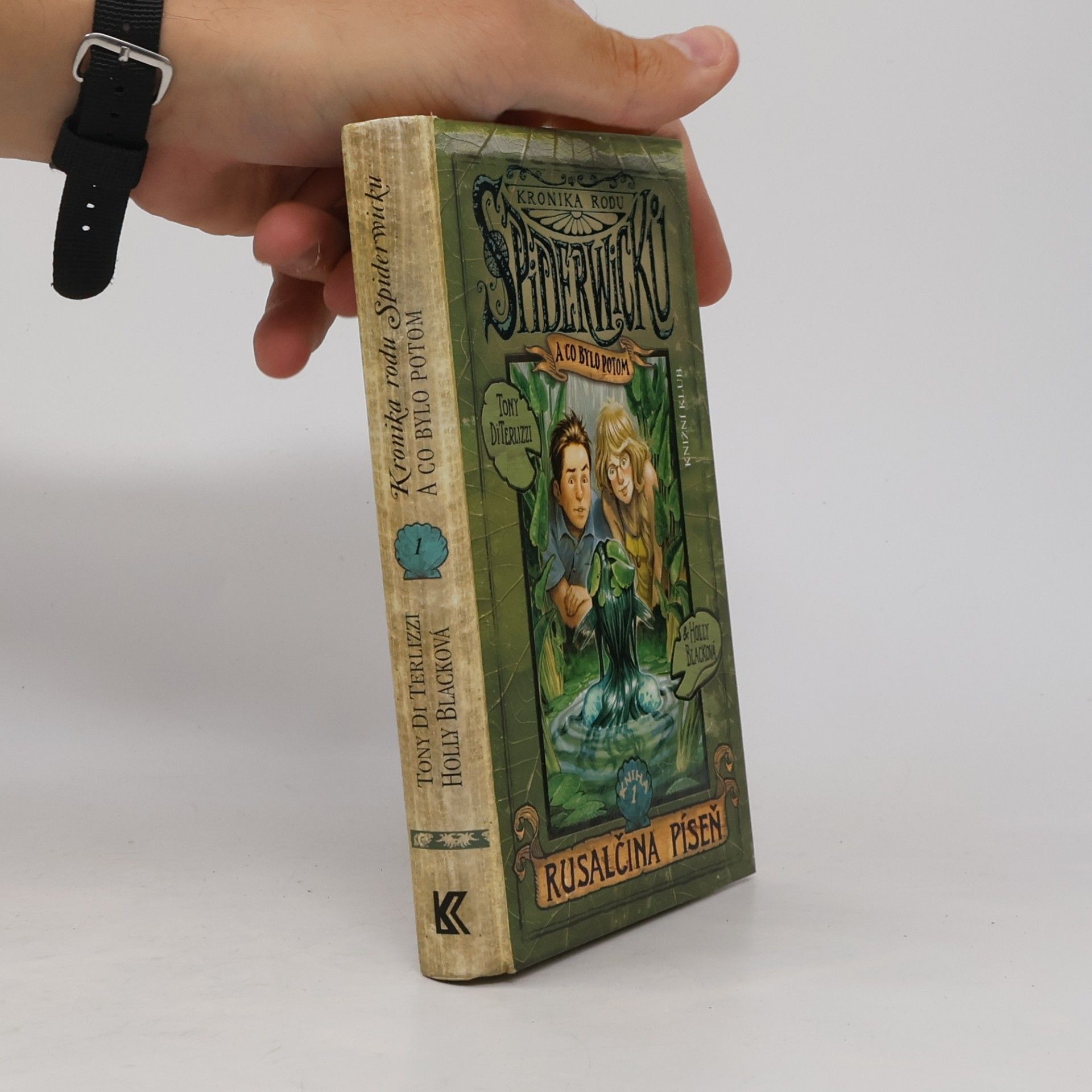 Tony DiTerlizzi Kronika rodu Spiderwicků a co bylo potom. Kniha 1, Rusalčina píseň