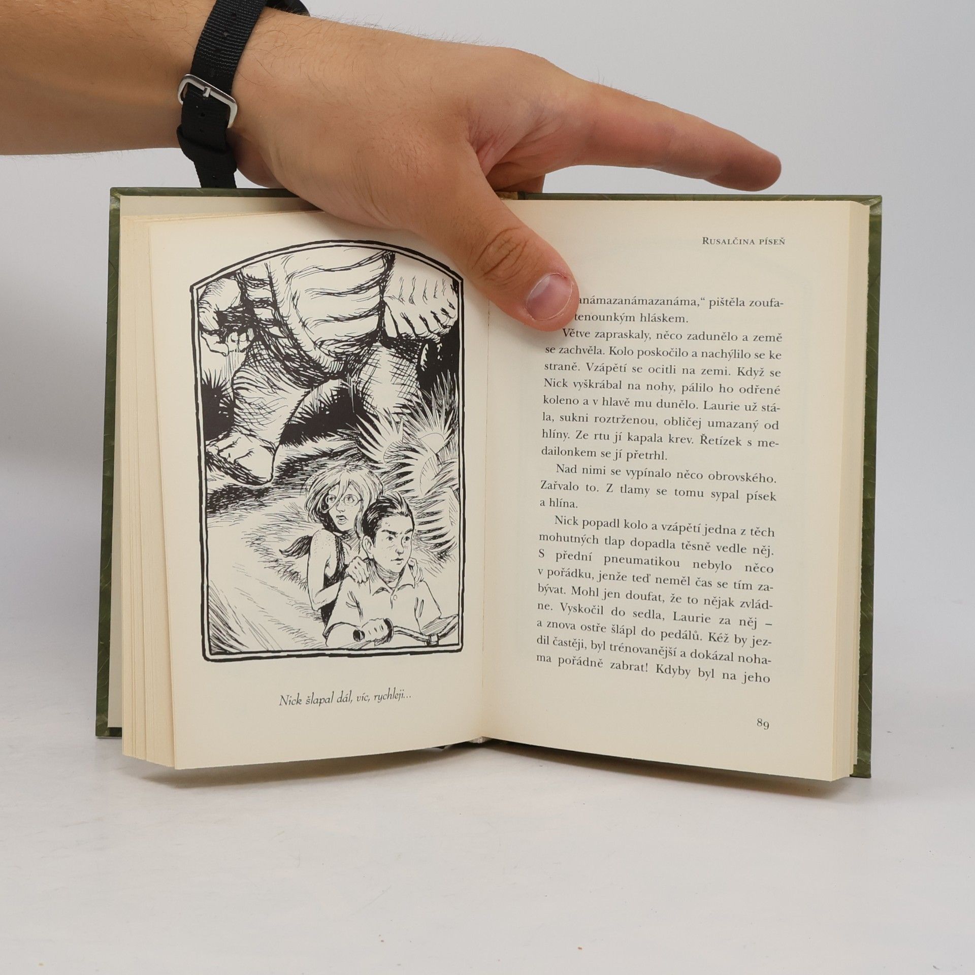 Tony DiTerlizzi Kronika rodu Spiderwicků a co bylo potom. Kniha 1, Rusalčina píseň