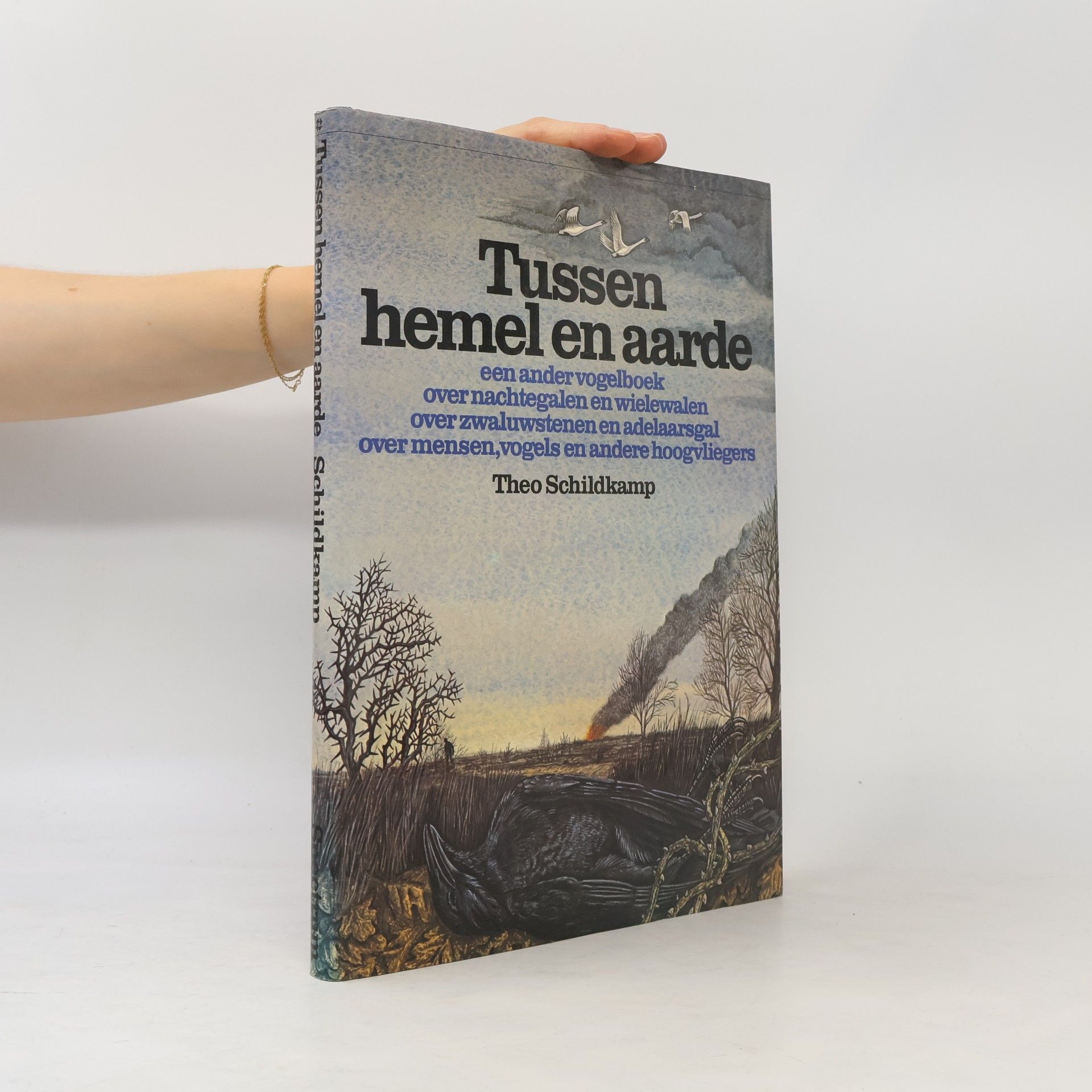 Tussen hemel en aarde