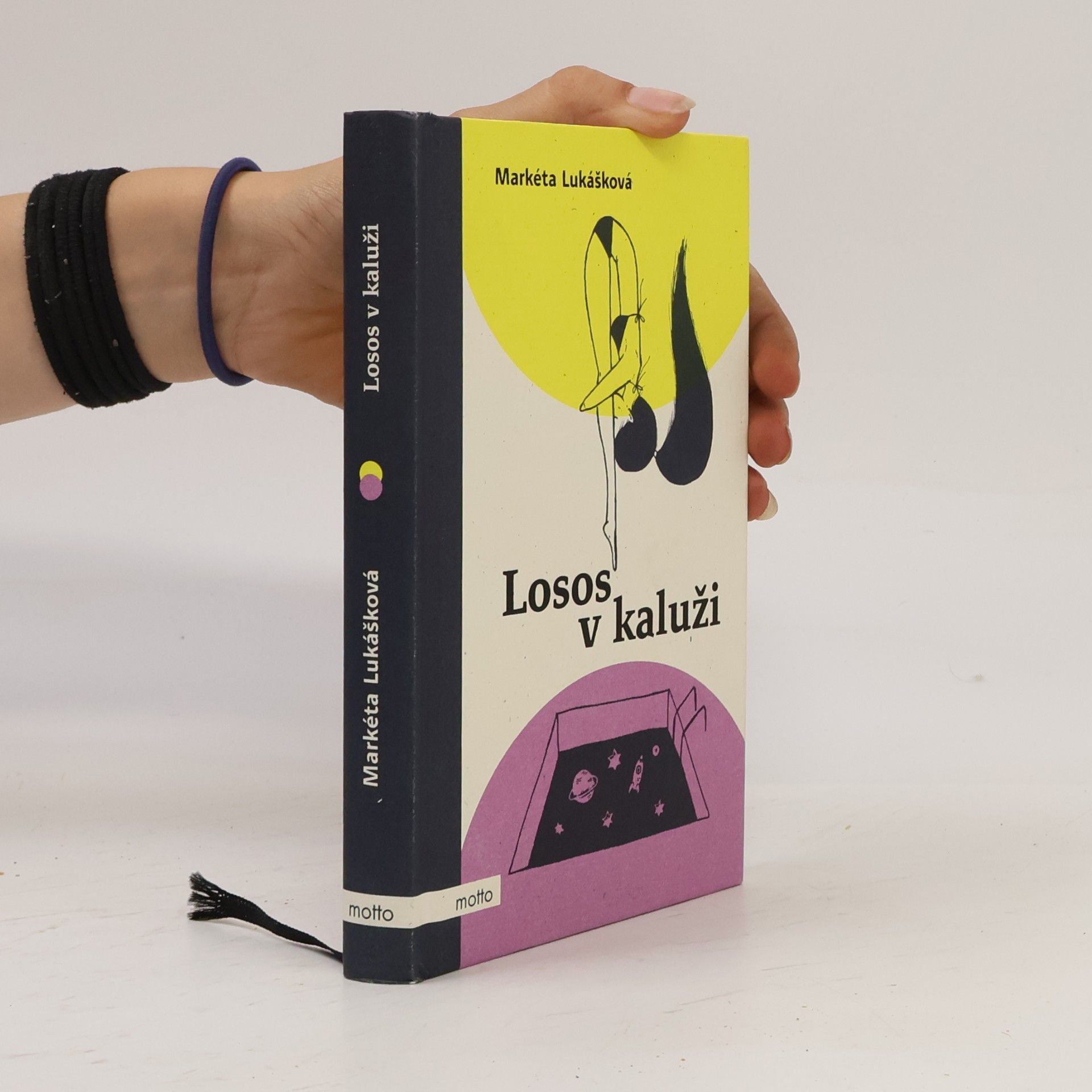 Markéta Lukášková Losos v kaluži
