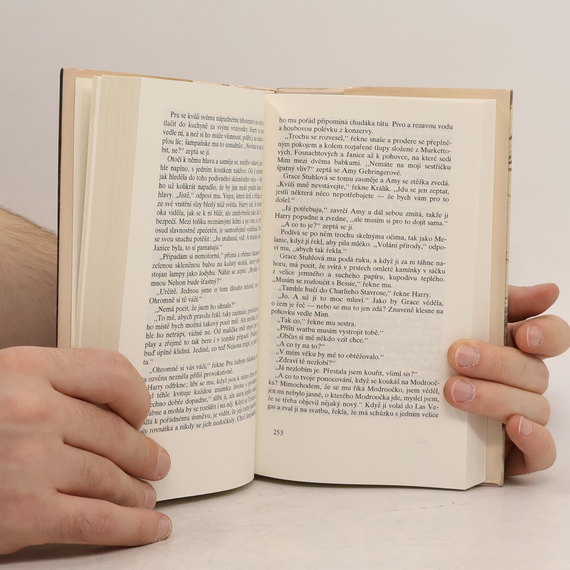 John Updike Králík je bohatý
