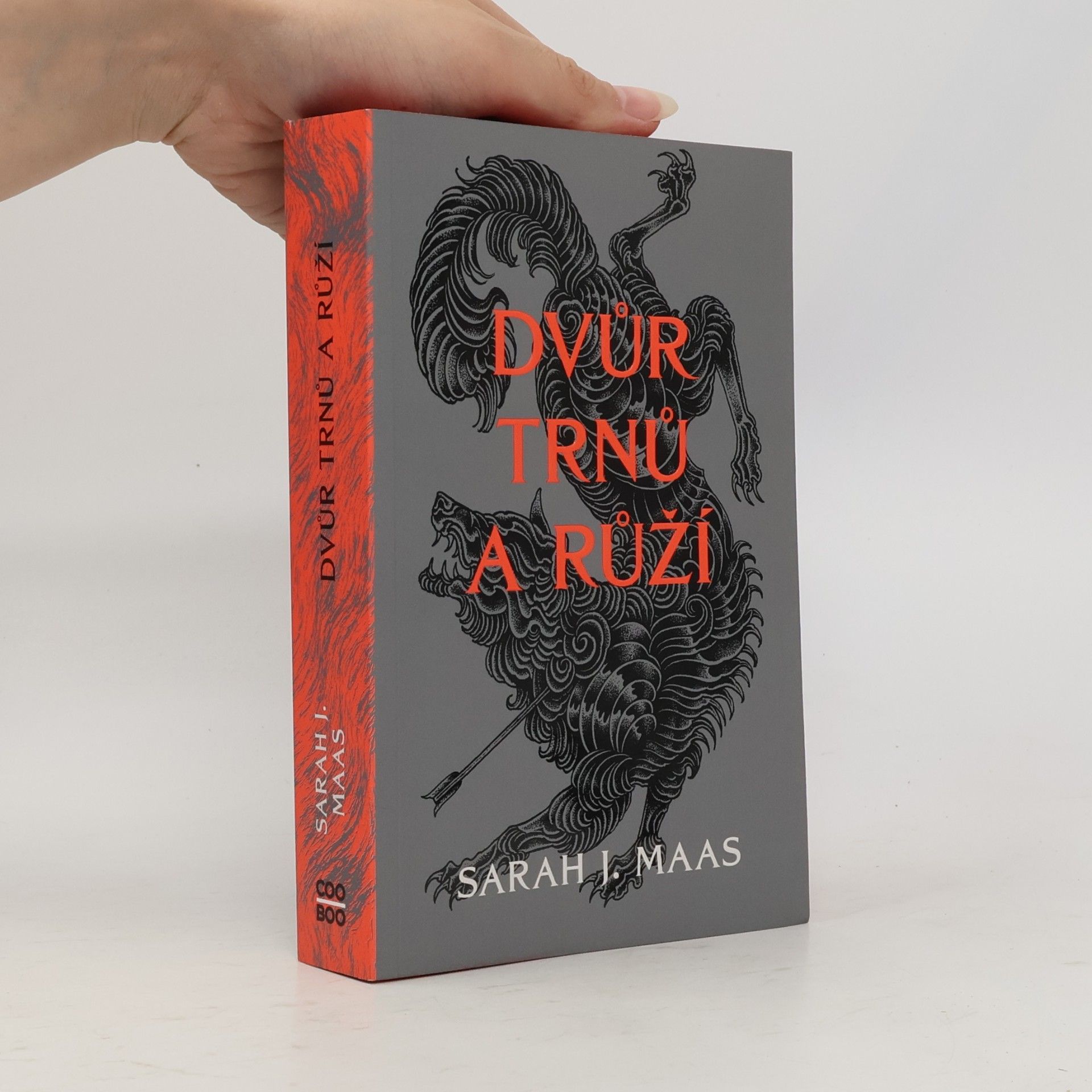 Dvůr trnů a růží