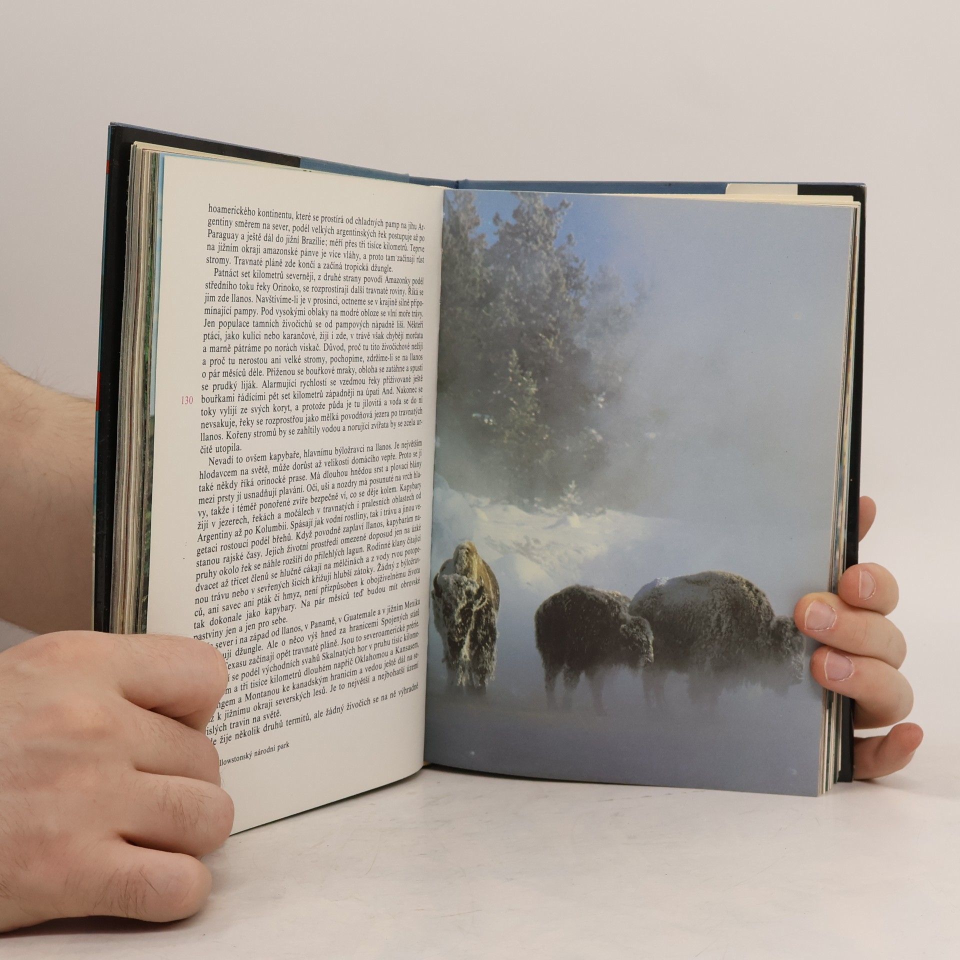 David Attenborough Planeta žije