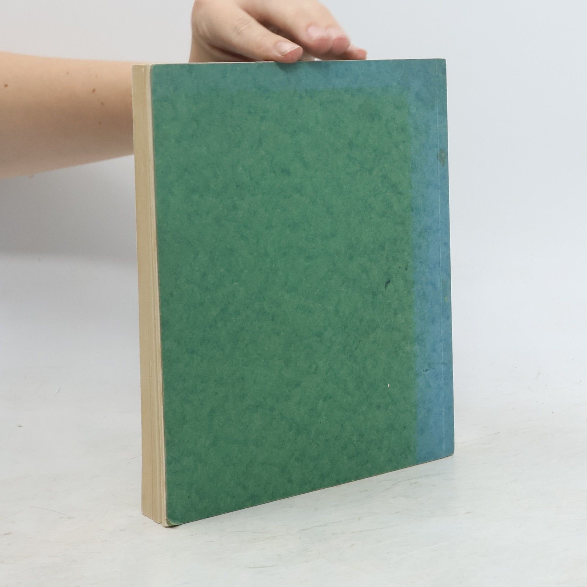 Rudolf Schade  Das Brockenbuch