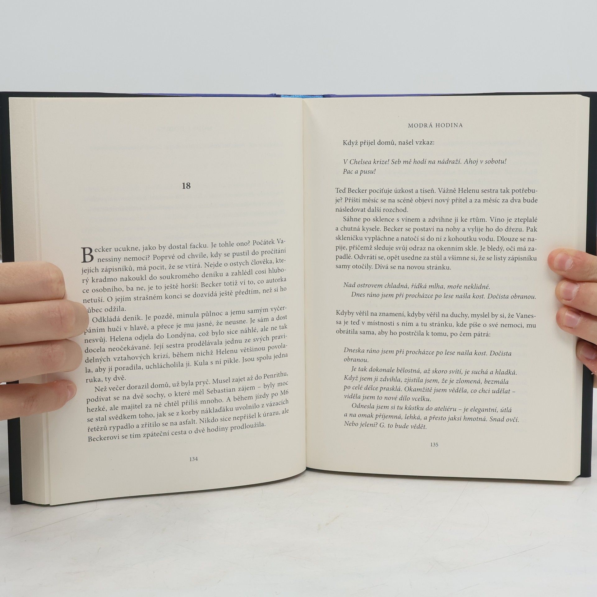 Paula Hawkins Modrá hodina