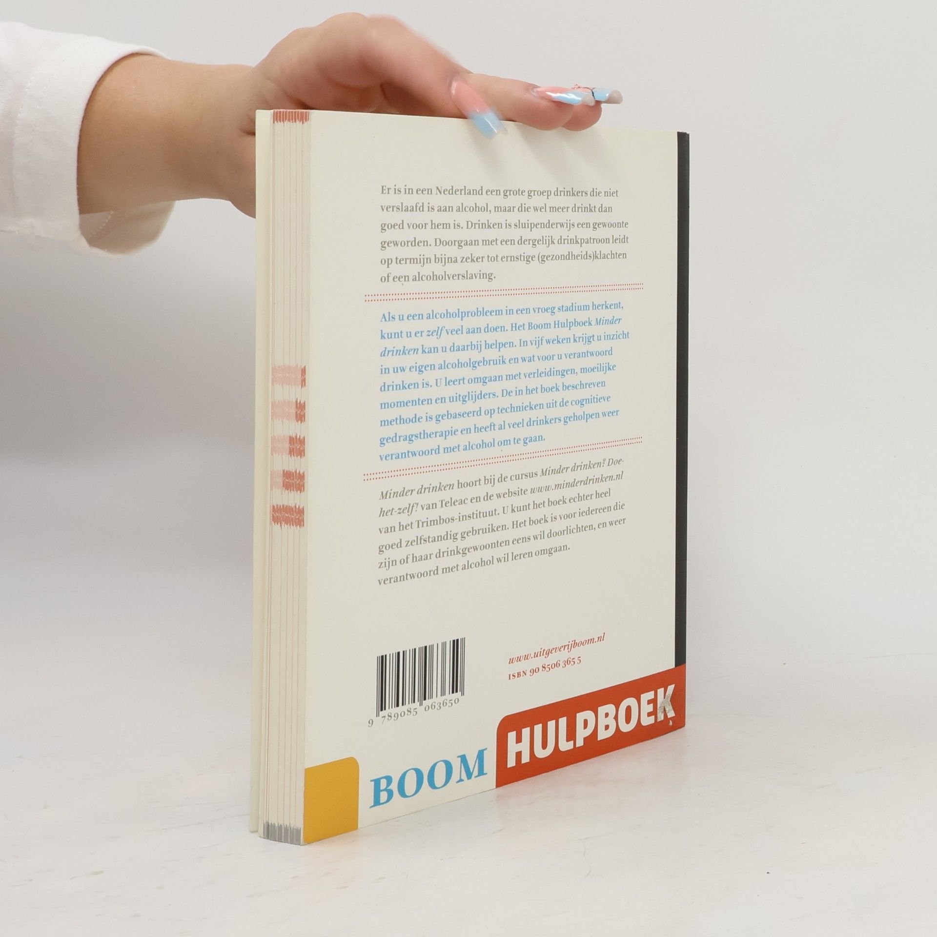 Lex Lemmers Boom Hulpboek: Minder drinken