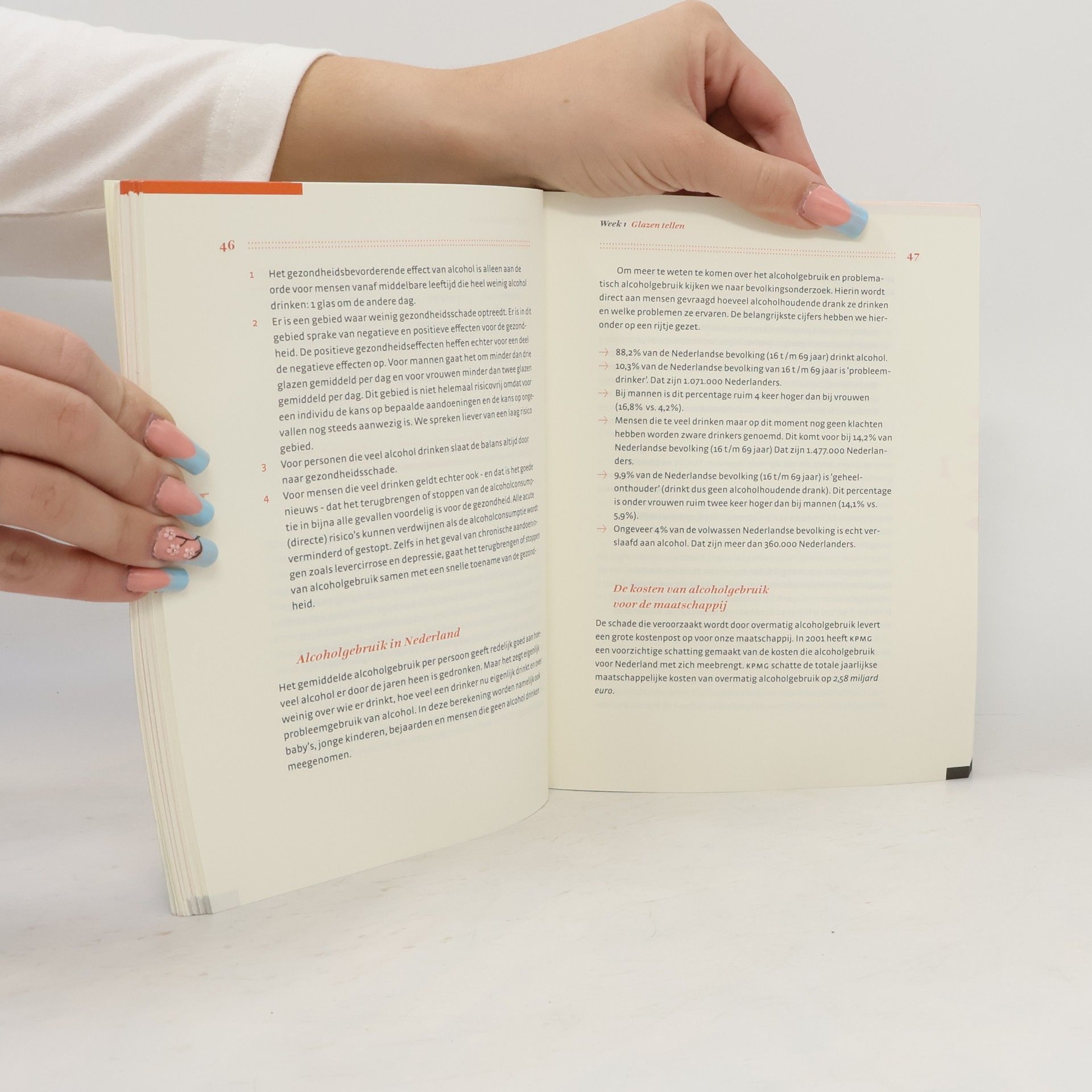Lex Lemmers Boom Hulpboek: Minder drinken