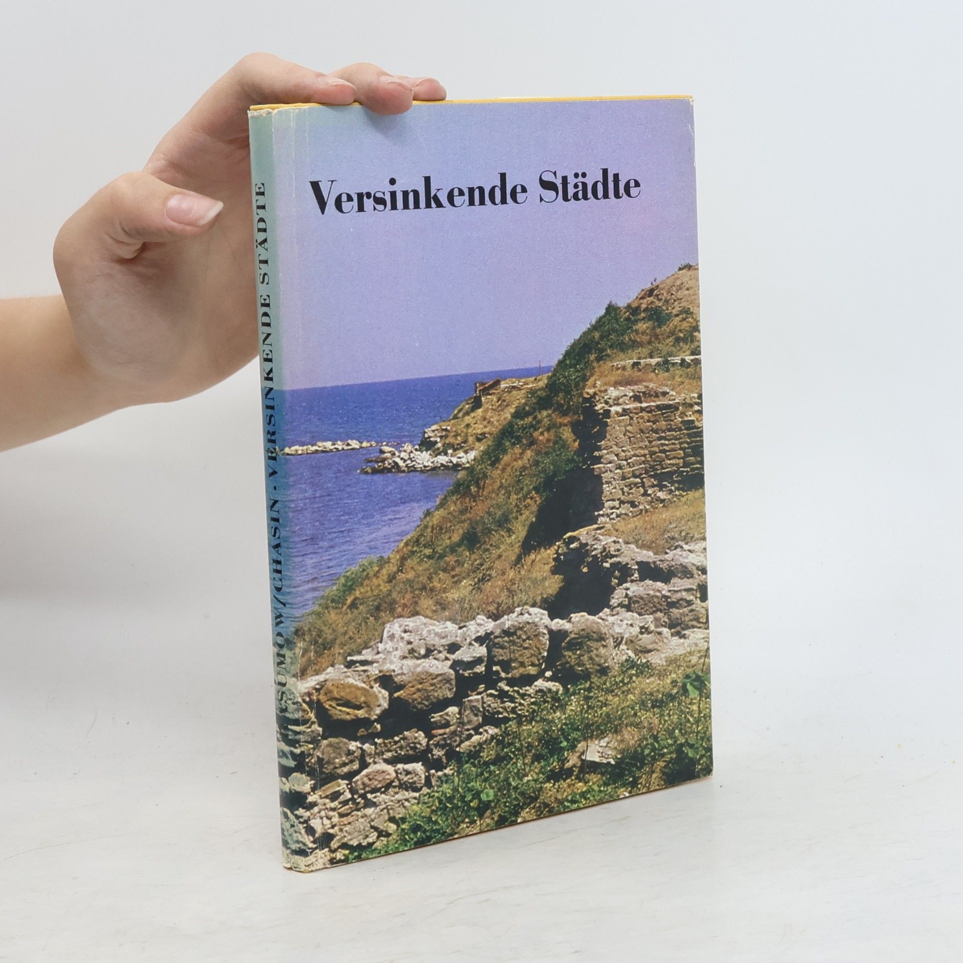 Autorenkollektiv Versinkende Städte