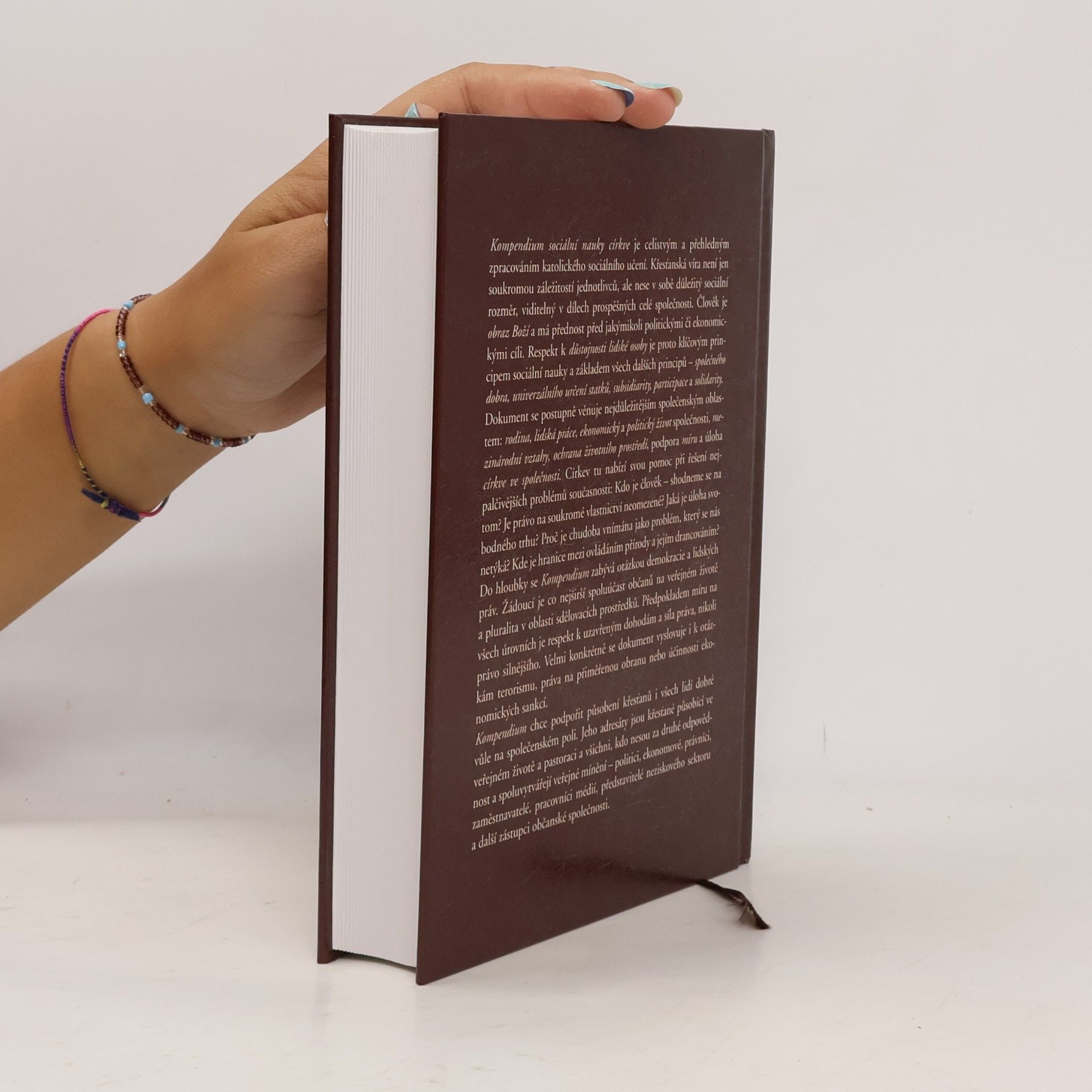 Autorenkollektiv Kompendium sociální nauky církve