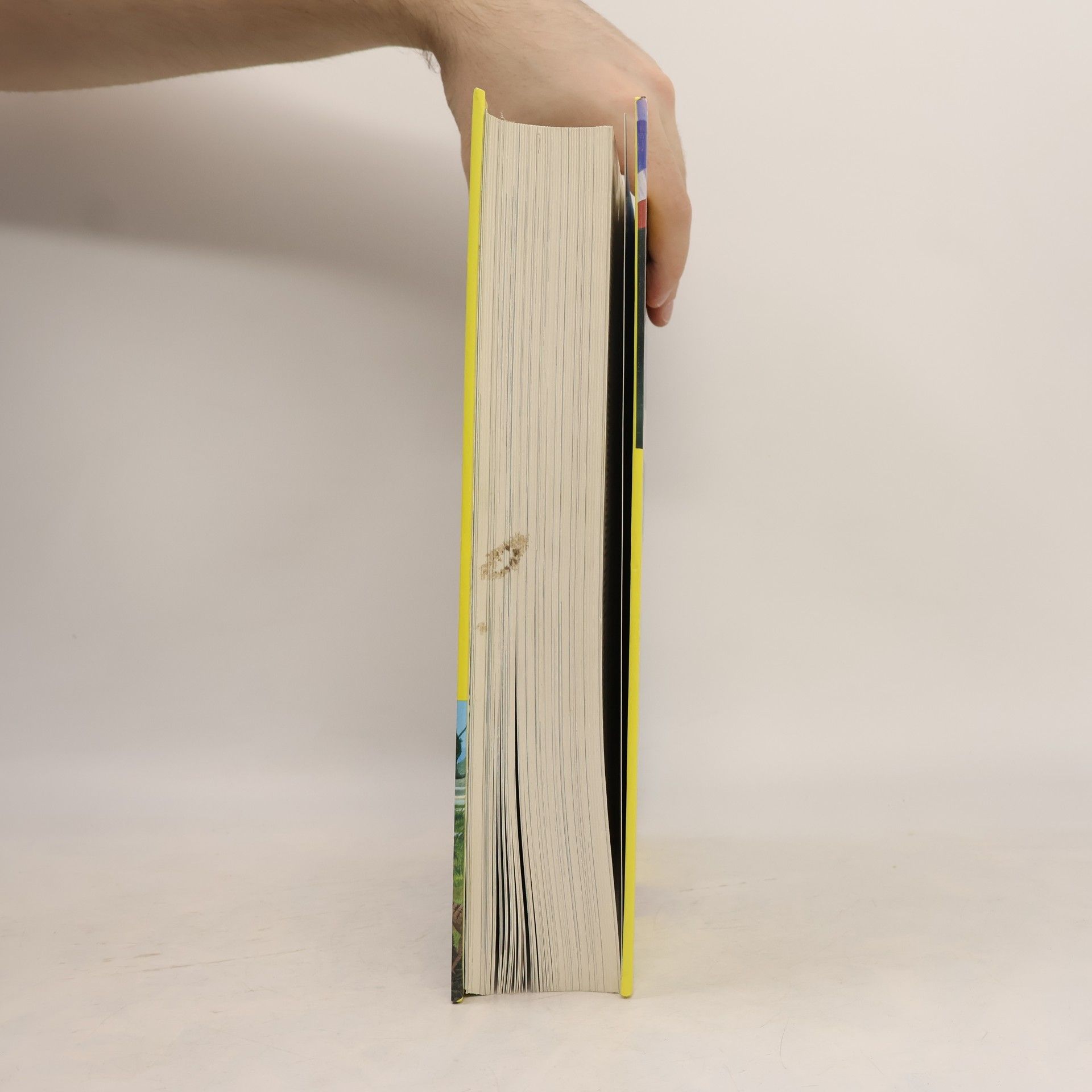 Various authors Guinnessova encyklopedie
