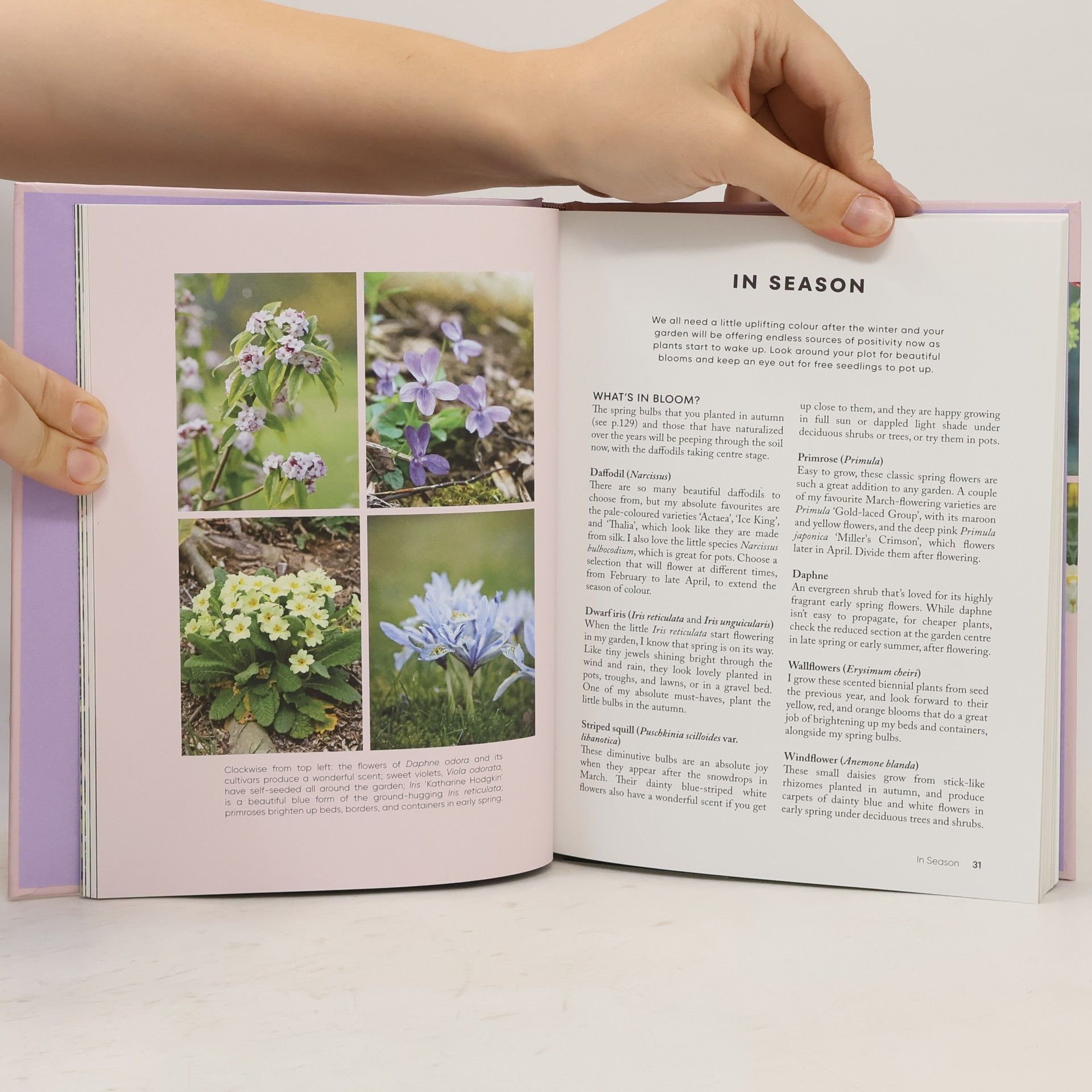 Lautenbach Anya The Money-Saving Garden Year