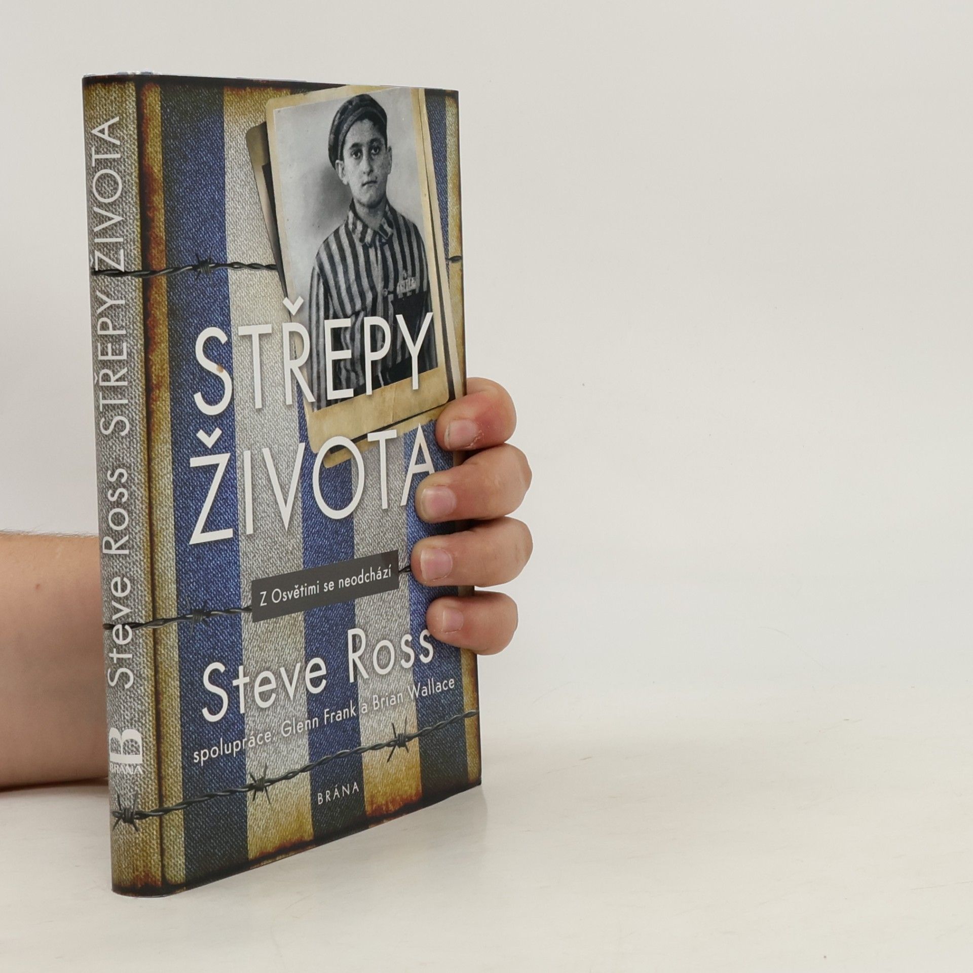 Brian Wallace Střepy života