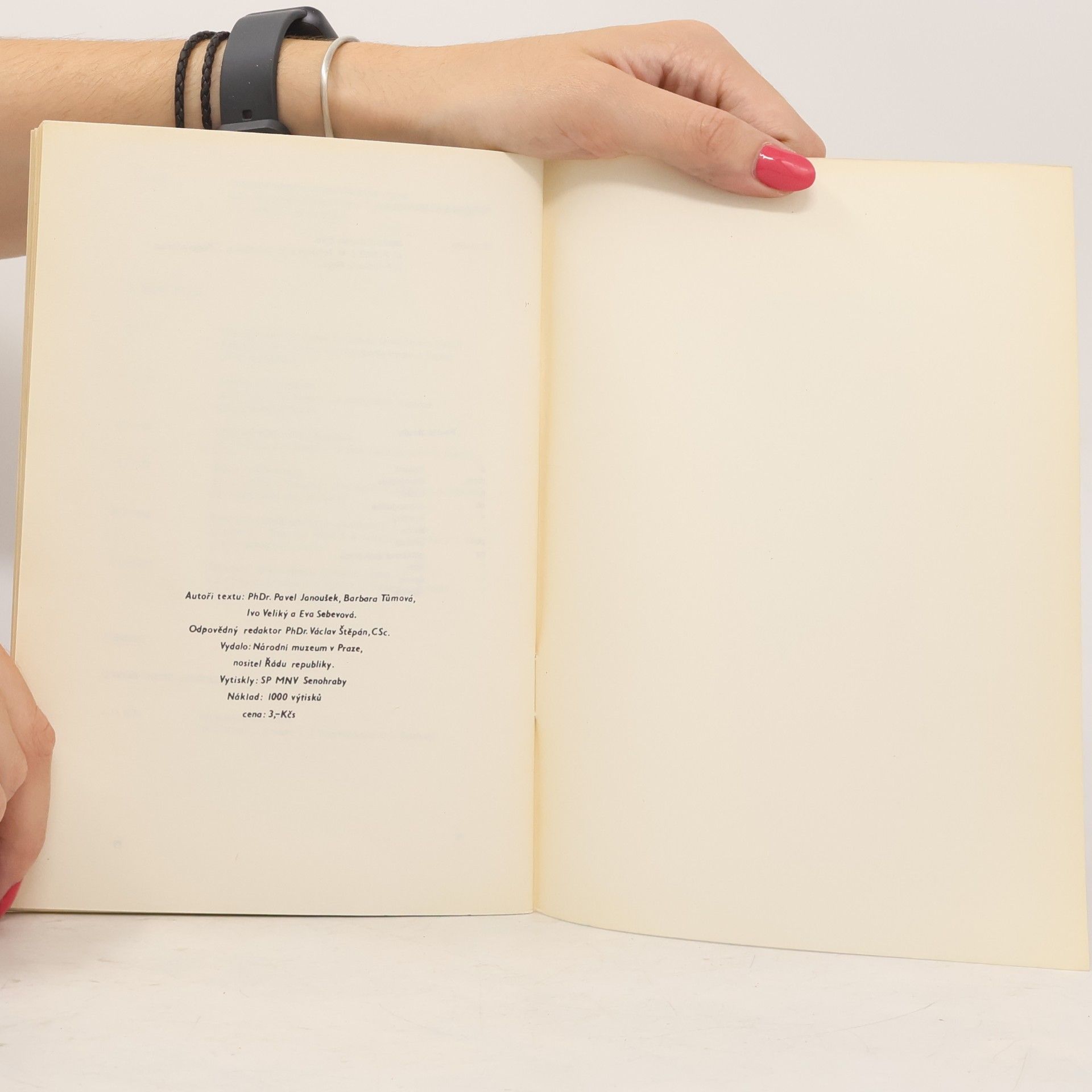 Kolektiv autorů Karel Čapek a divadlo