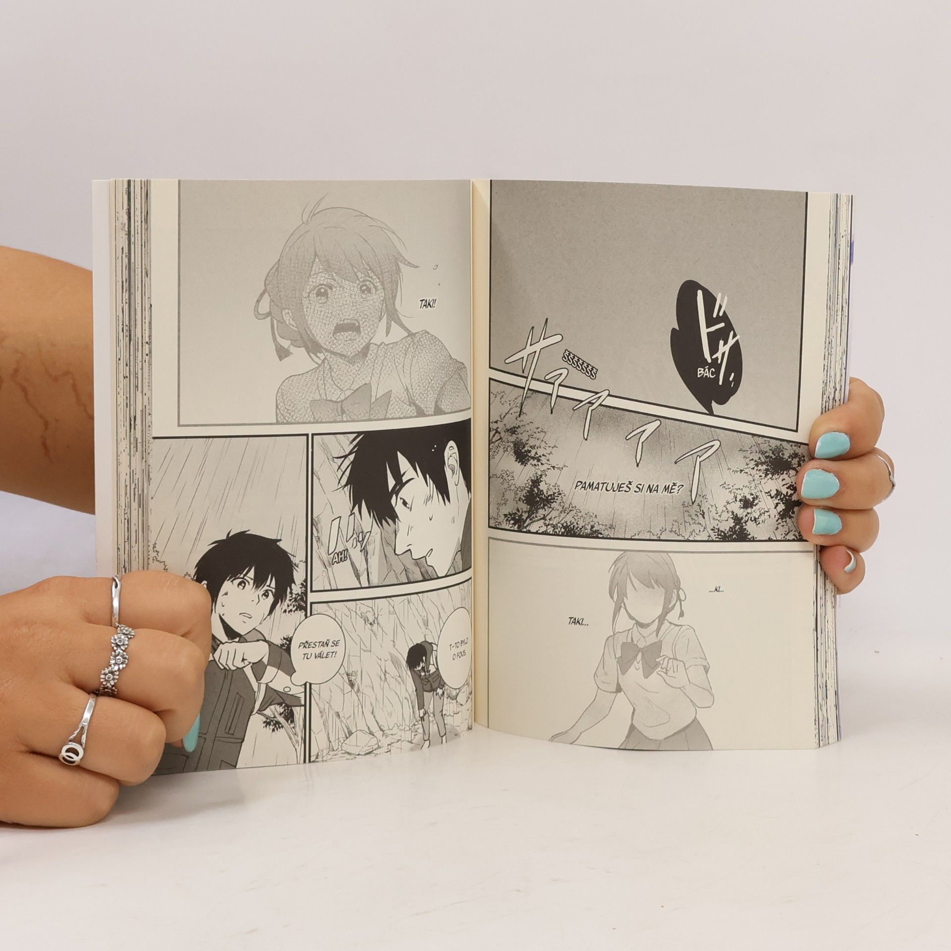 Makoto Šinkai To bylo tvé jméno. 02