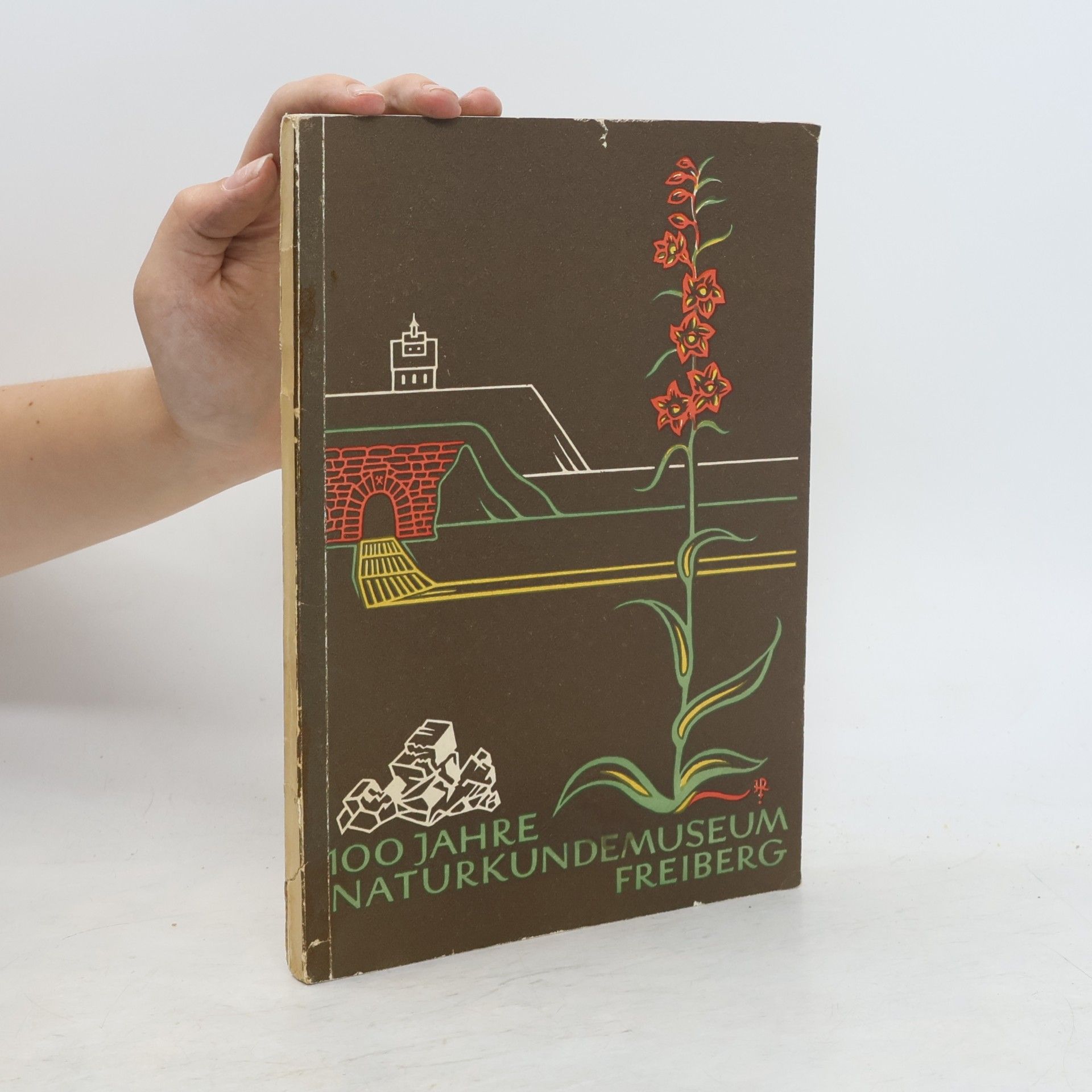 Autorenkollektiv 100 Jahre Naturkundemuseum Freiberg