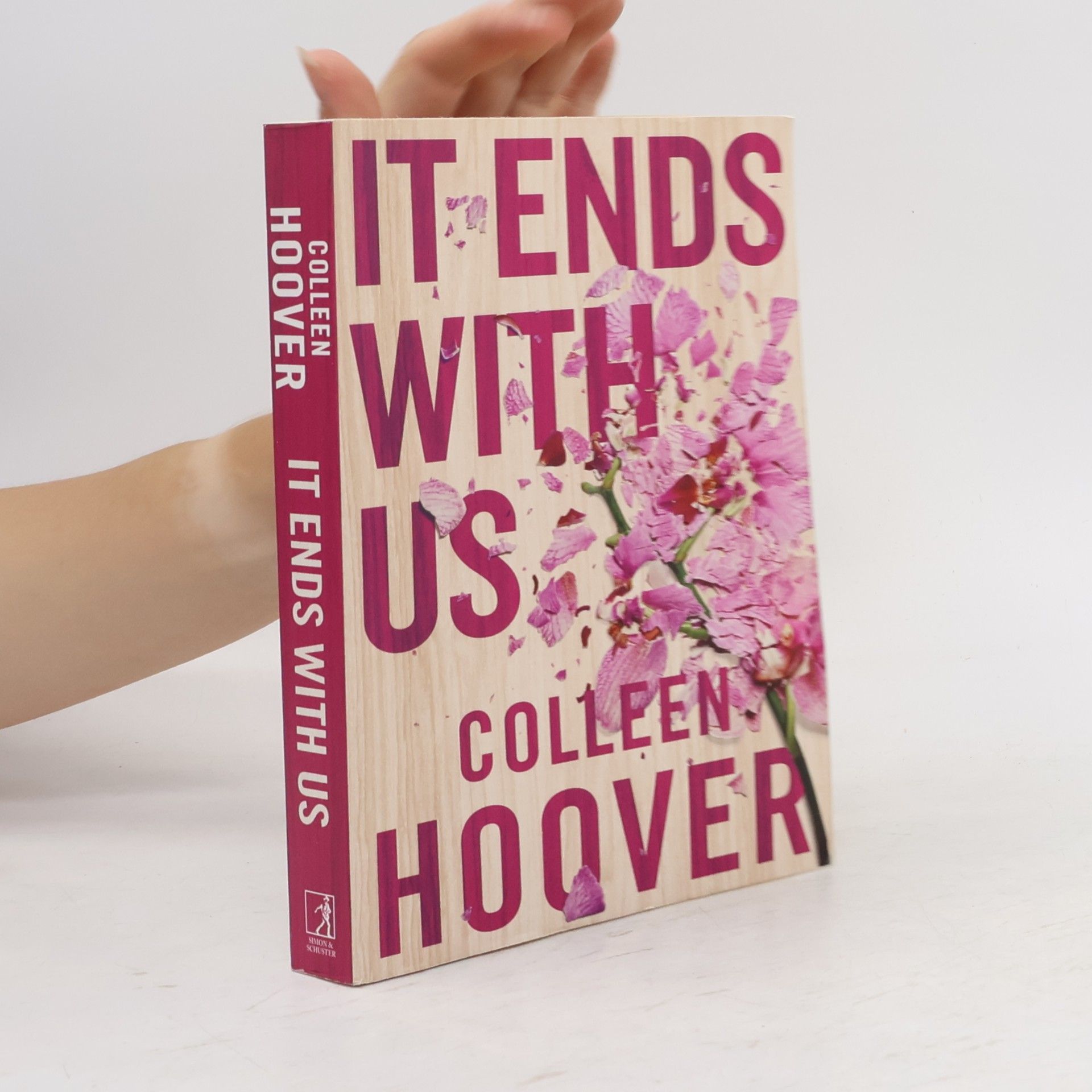Colleen Hoover It Ends With Us