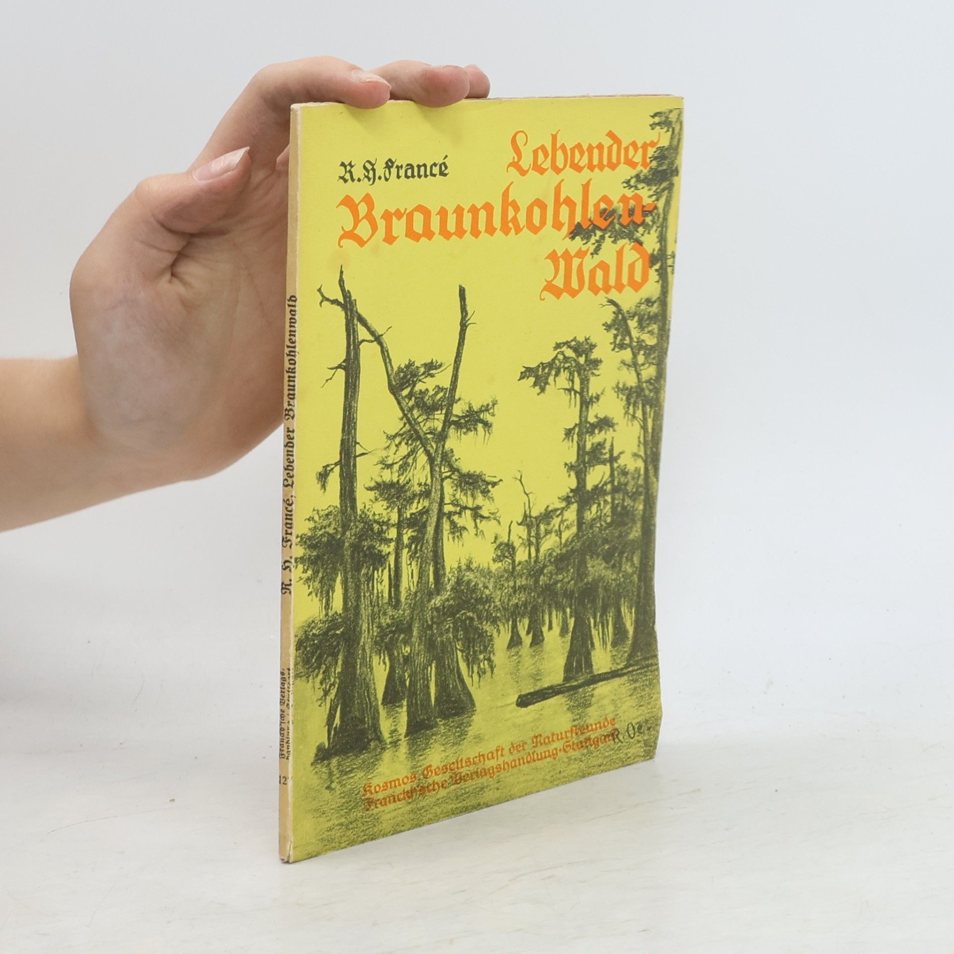 Raoul Heinrich Francé Lebender Braunkohlen Wald