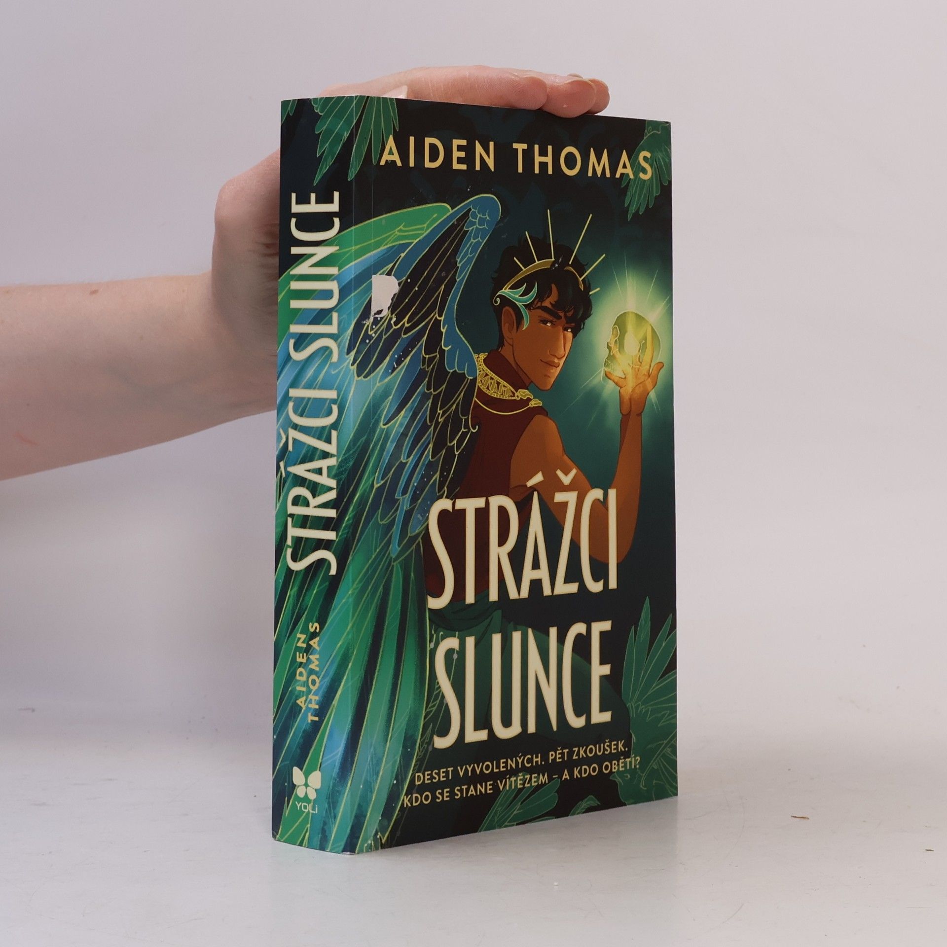 Aiden Thomas Strážci Slunce
