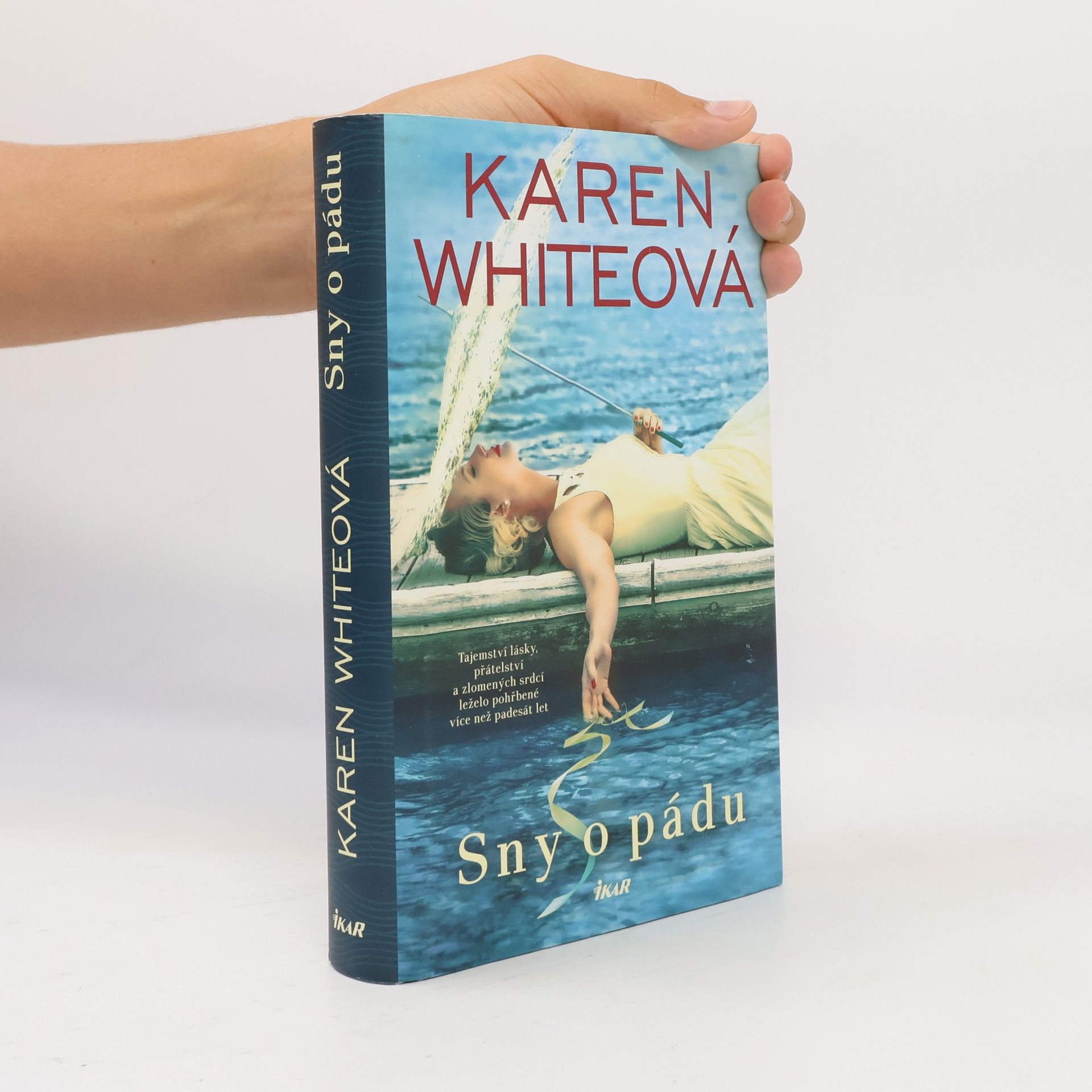 Karen Karen S. White Sny o pádu