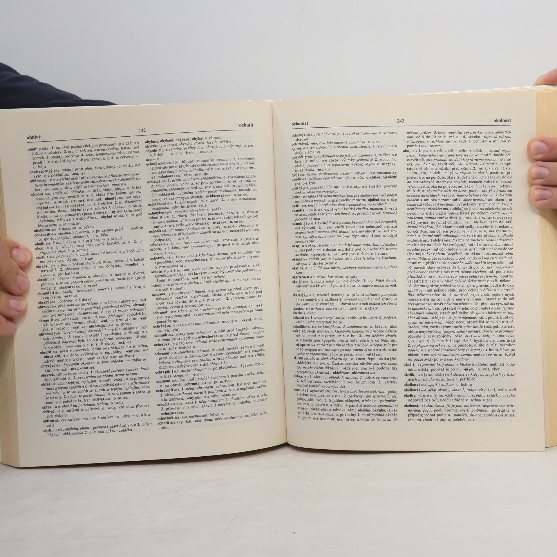 Autorenkollektiv Slovník spisovné češtiny pro školu a veřejnost