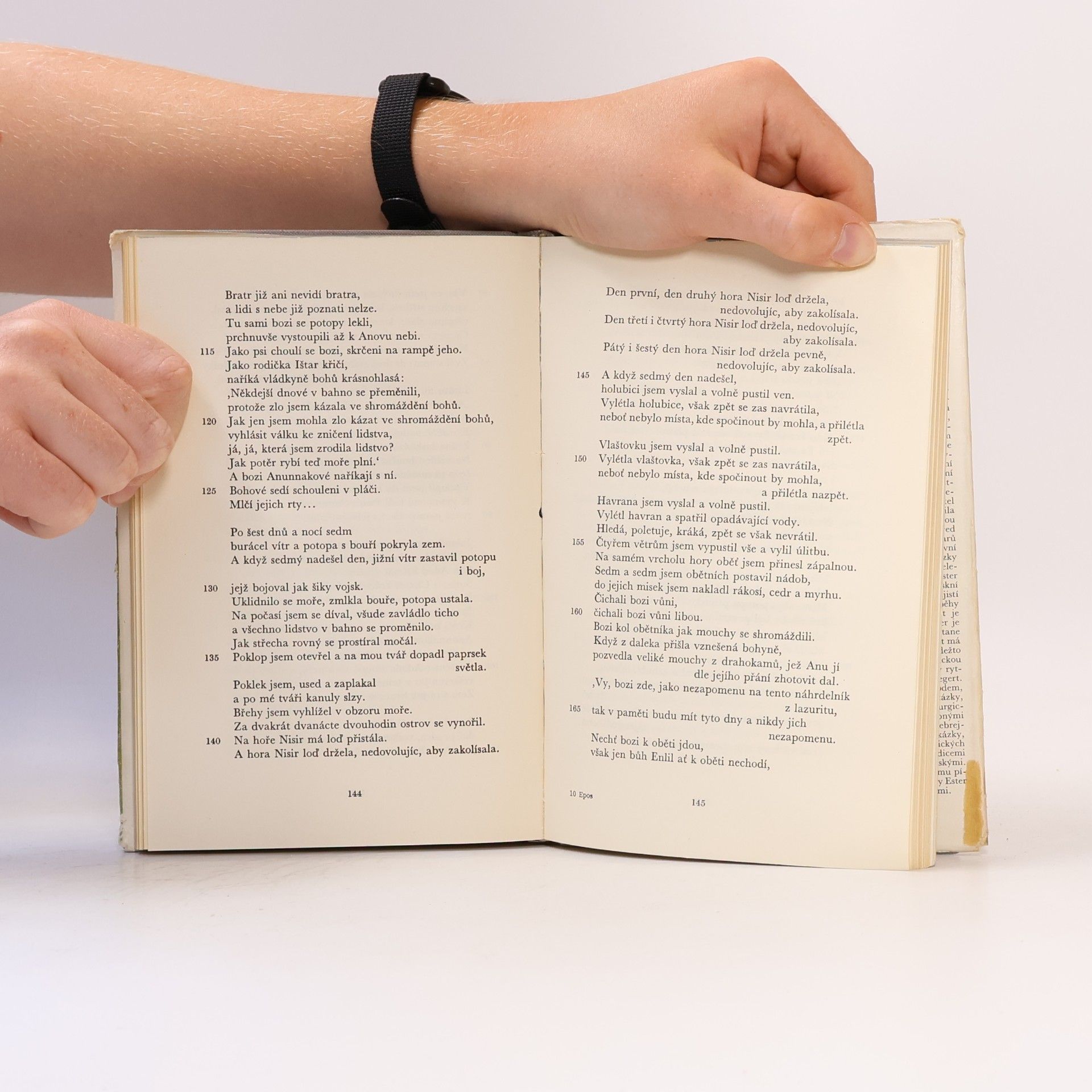 Autorenkollektiv Epos o Gilgamešovi