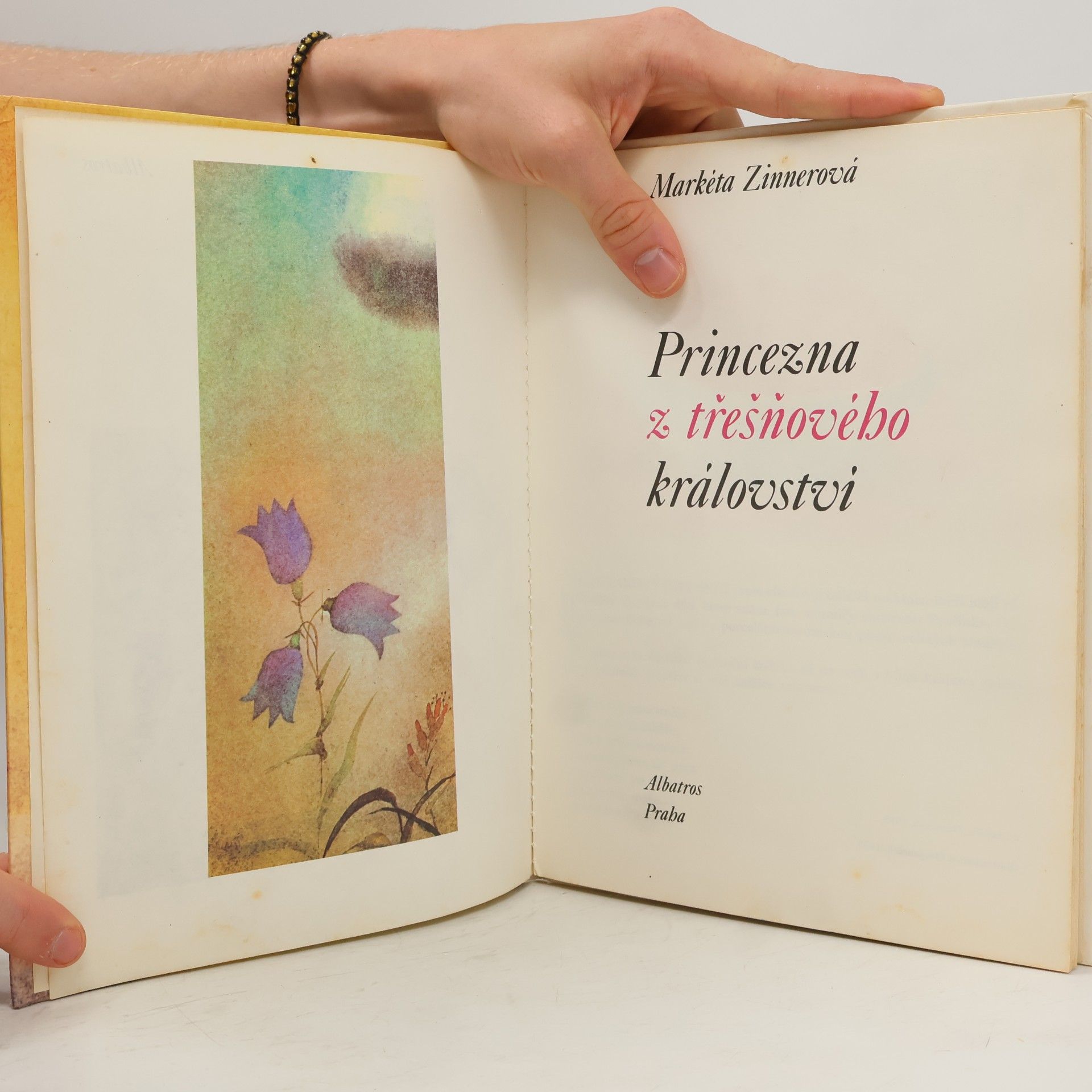 Markéta Zinnerová Princezna z třešňového království