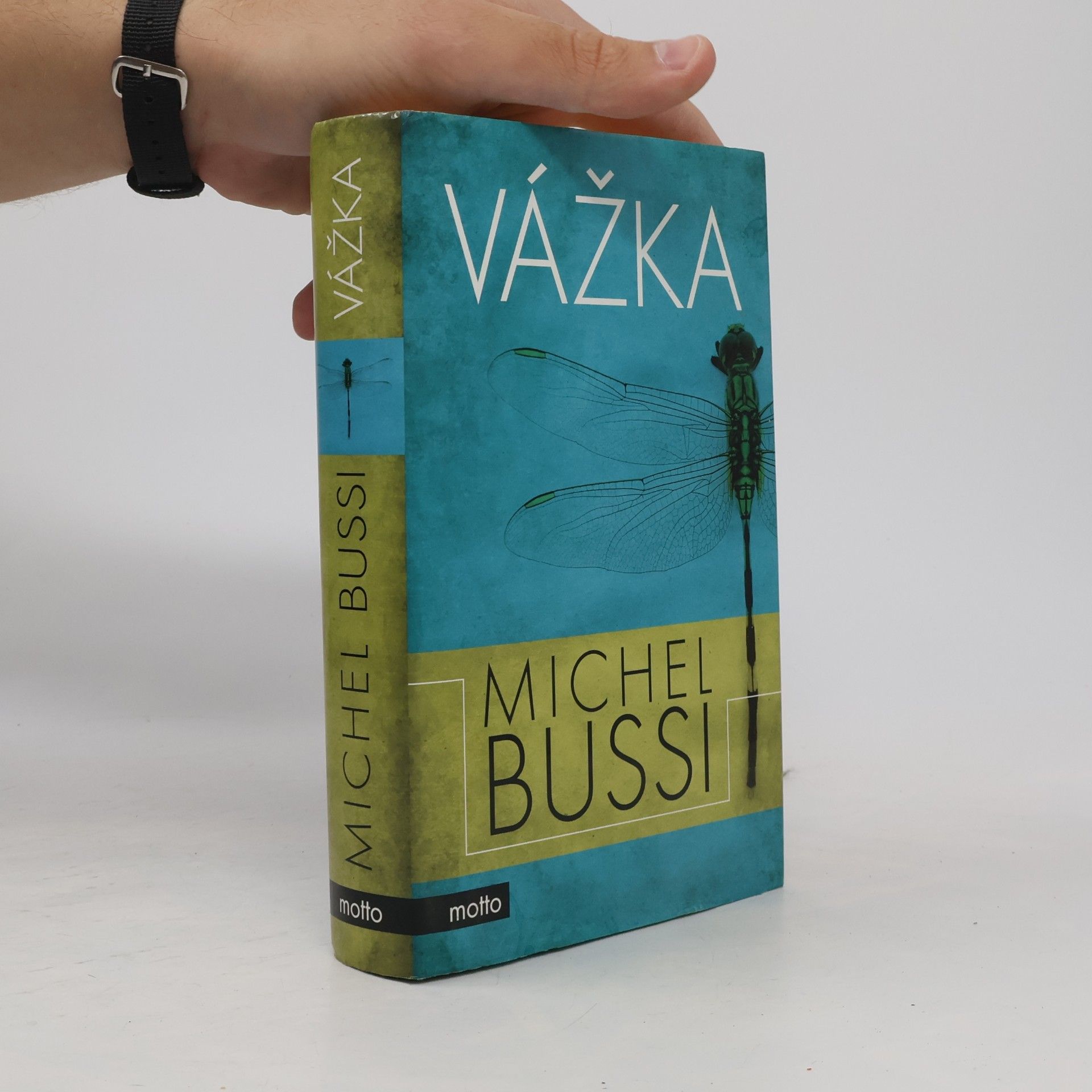 Michel Bussi Vážka
