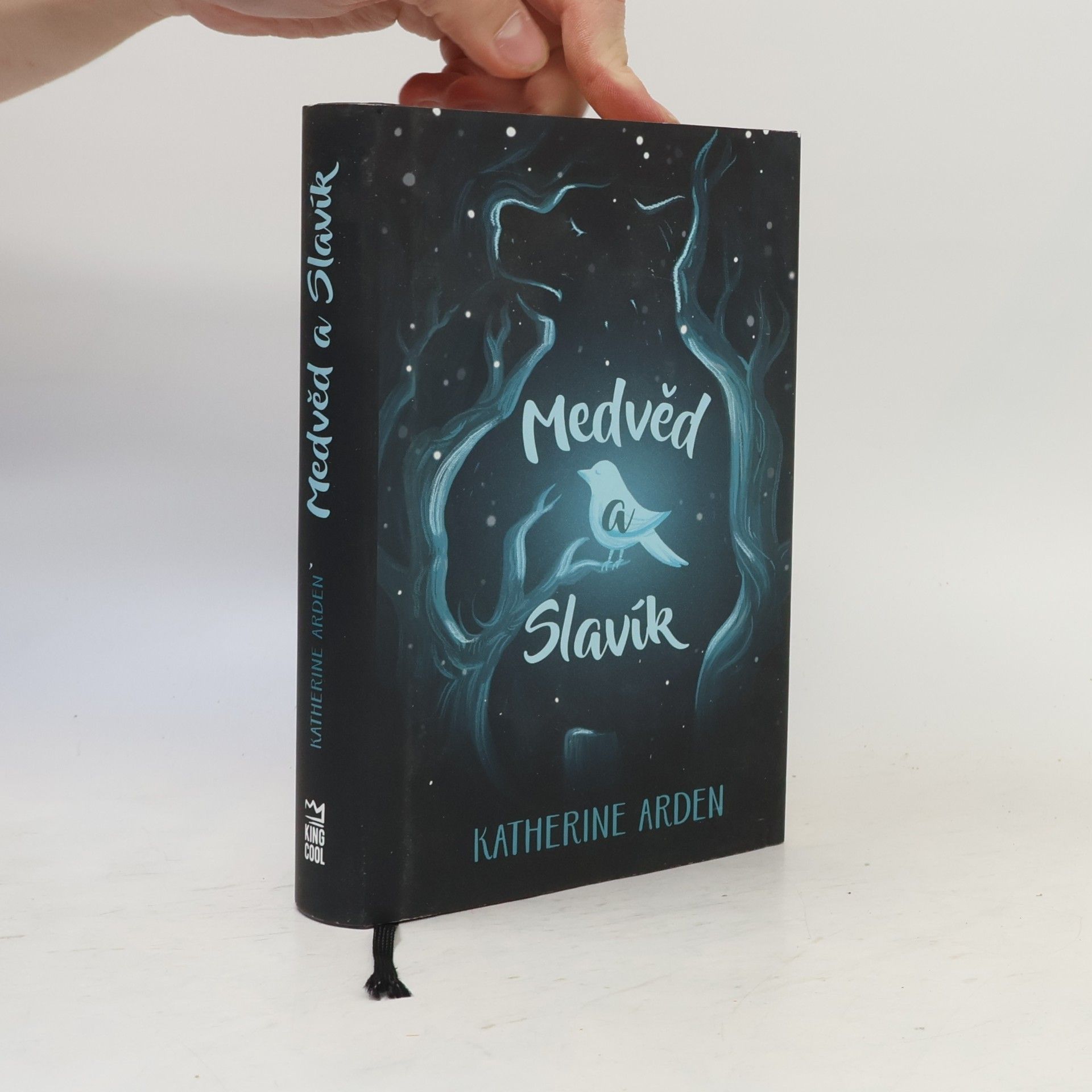 Katherine Arden Medvěd a Slavík