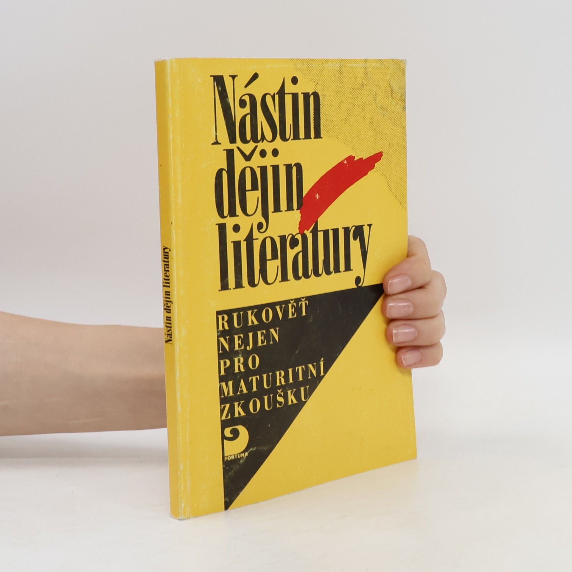Richard W. Fetter Nástin dějin literatury