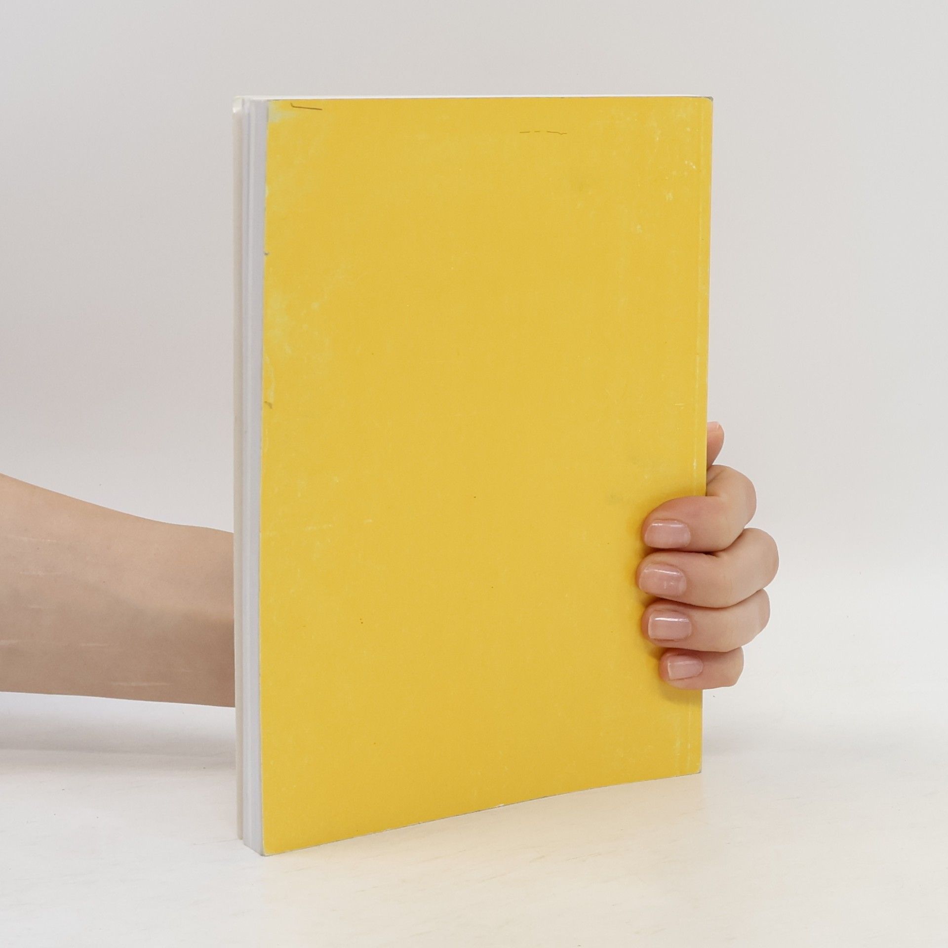 Milan Kudrys Nástin dějin literatury