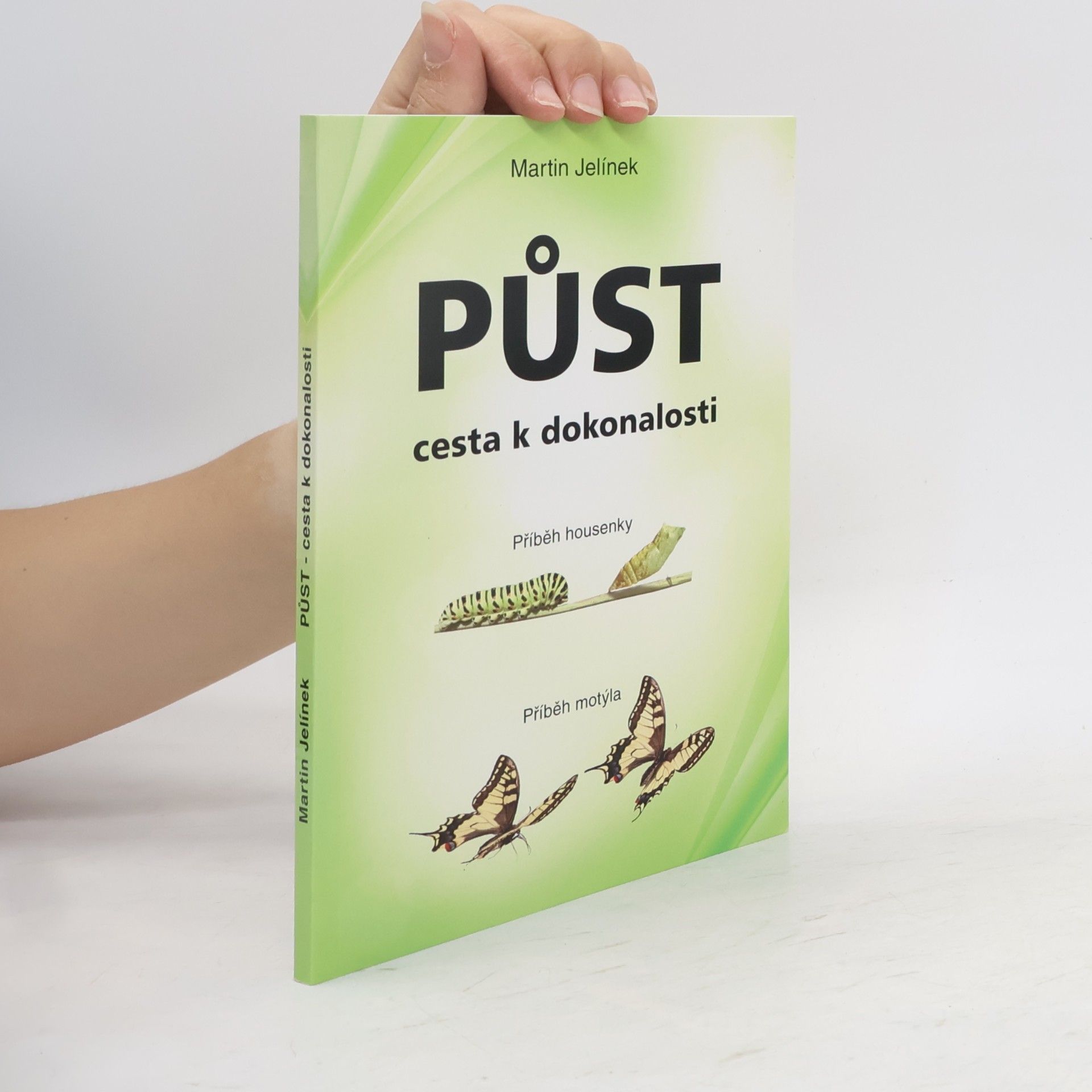 Jelínek Martin Půst - cesta k dokonalosti