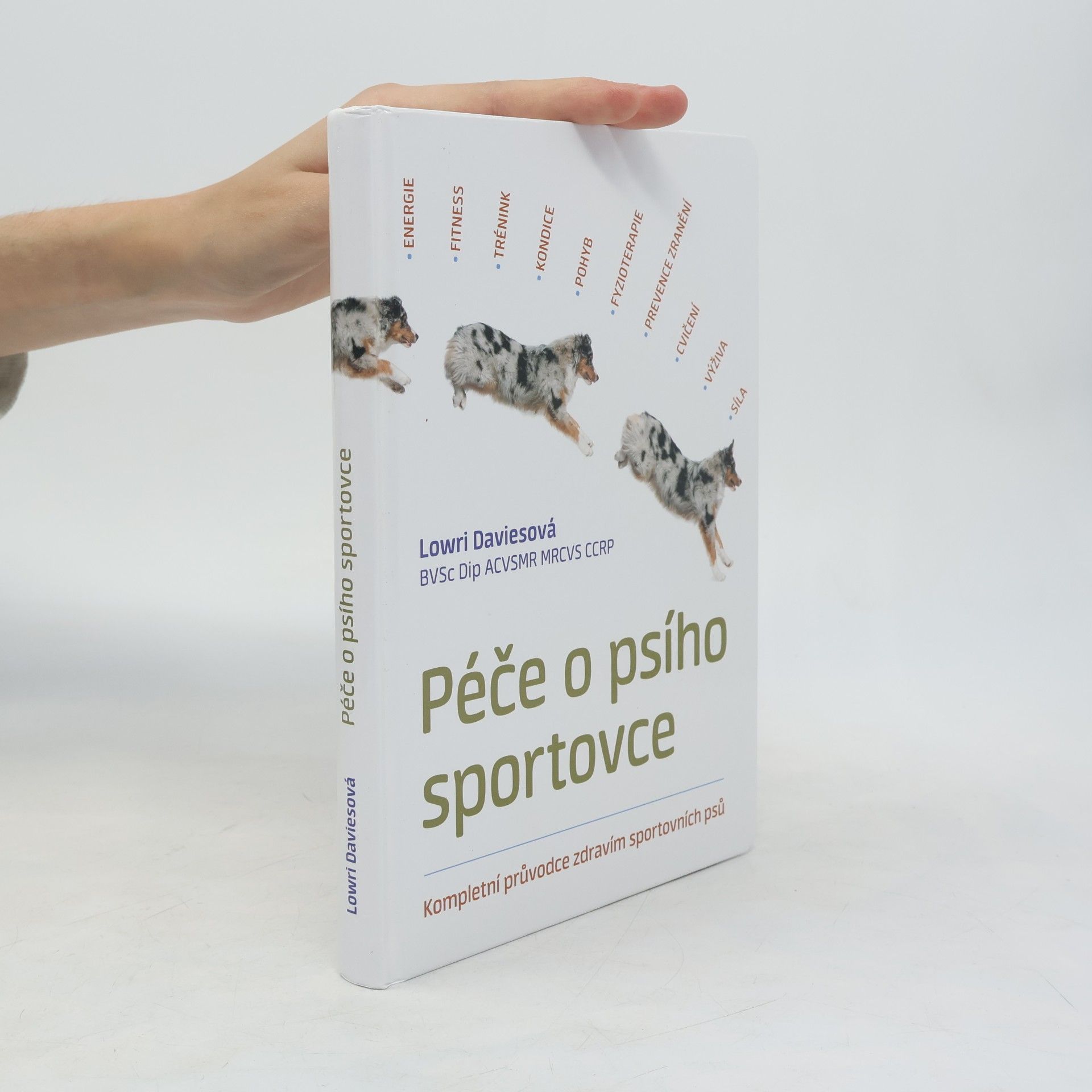 Lowri Davies Péče o psího sportovce