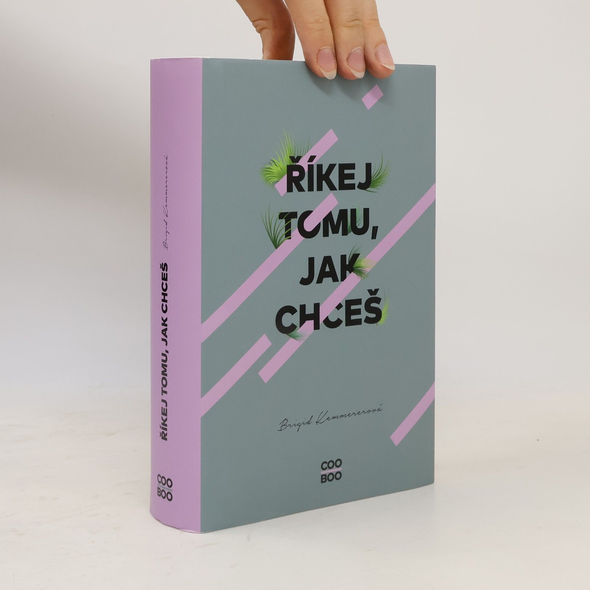 Brigid Kemmerer Říkej tomu, jak chceš