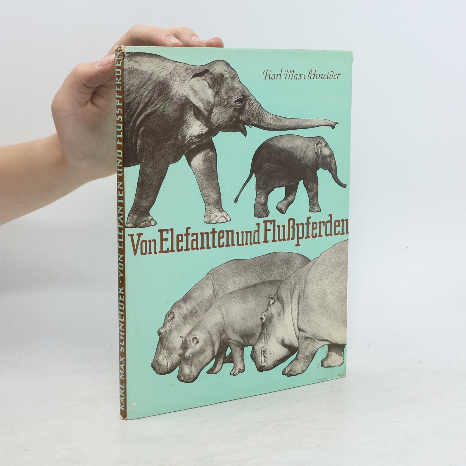 Karl Max Schneider Von Elefanten und Flußpferden