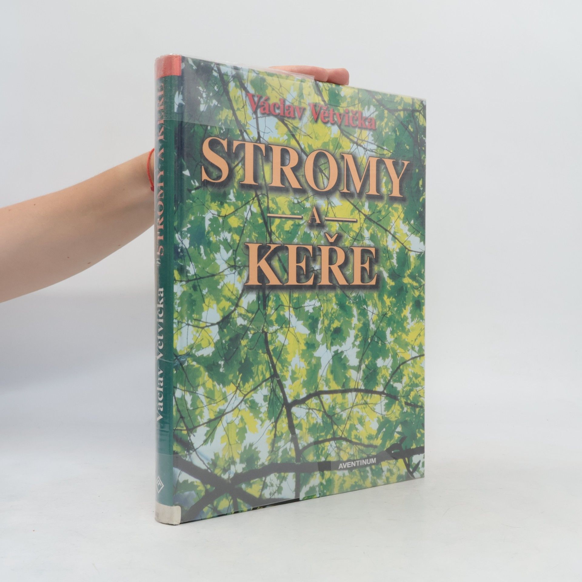 Václav Větvička Stromy a keře