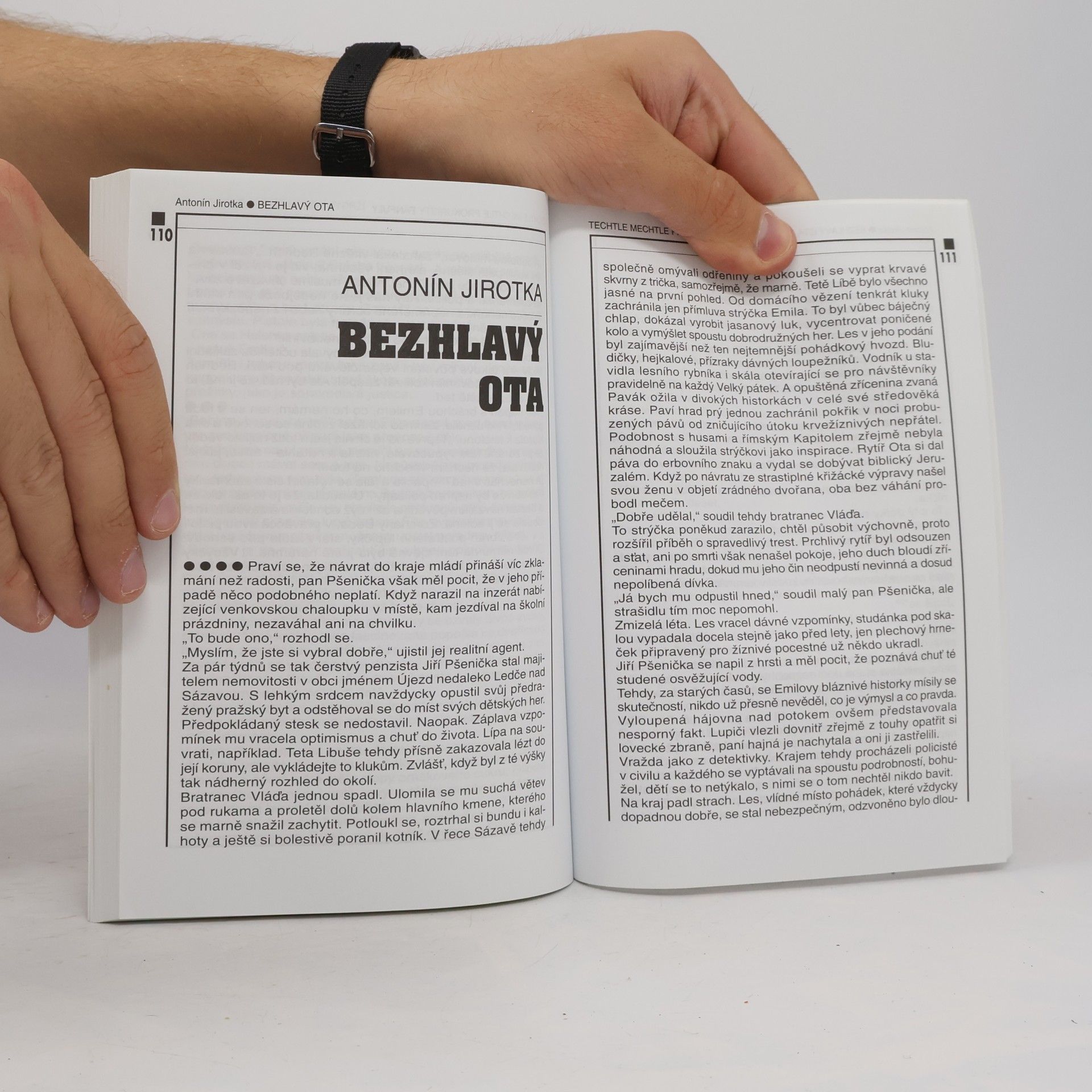 Various authors Techtle mechtle prokuristy Fanfuly