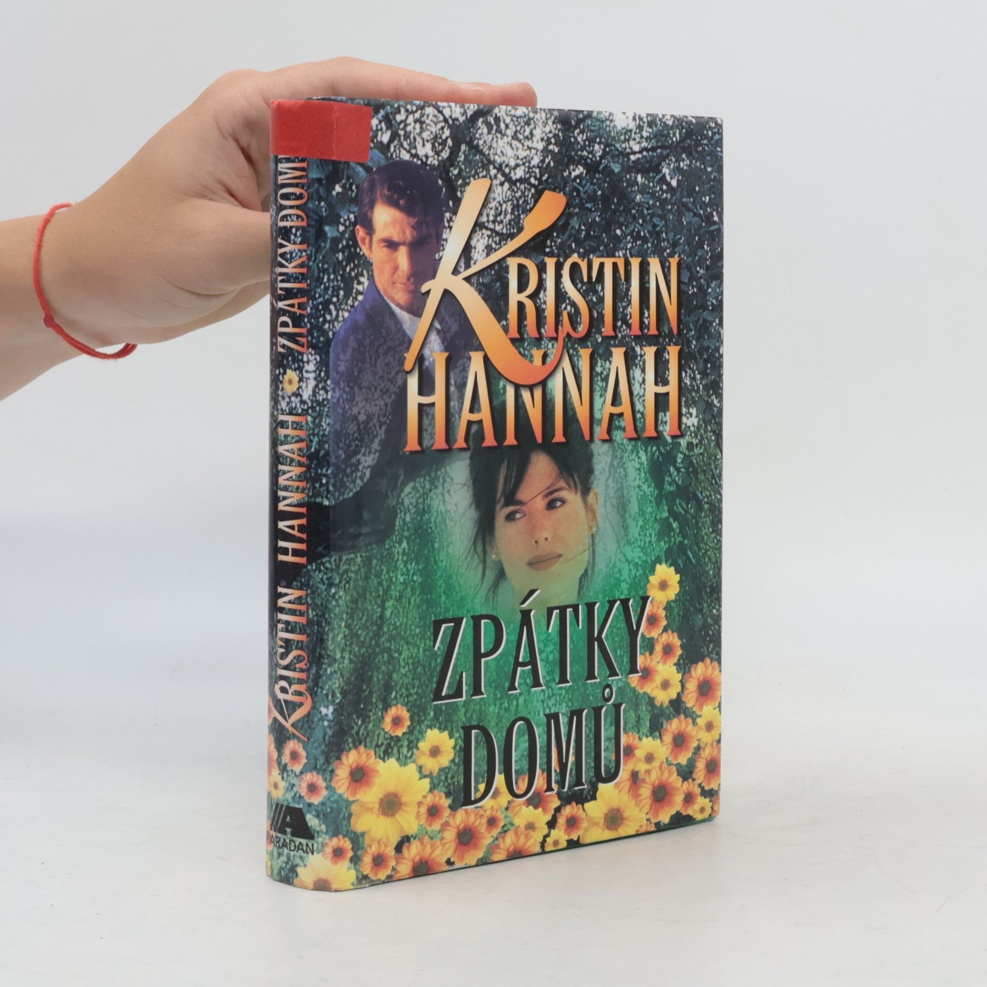 Kristin Hannah Zpátky domů