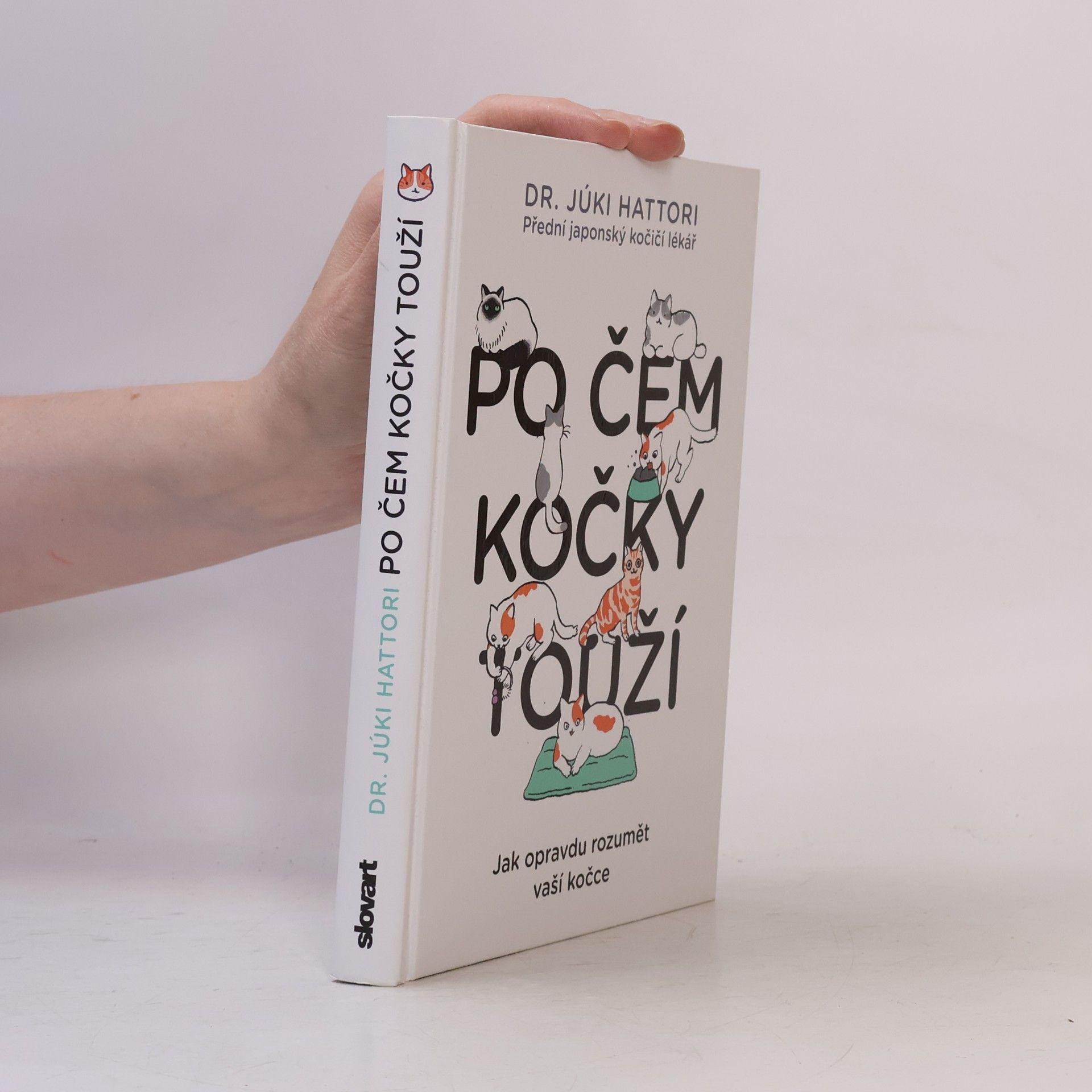 Po čem kočky touží : jak opravdu rozumět vaší kočce