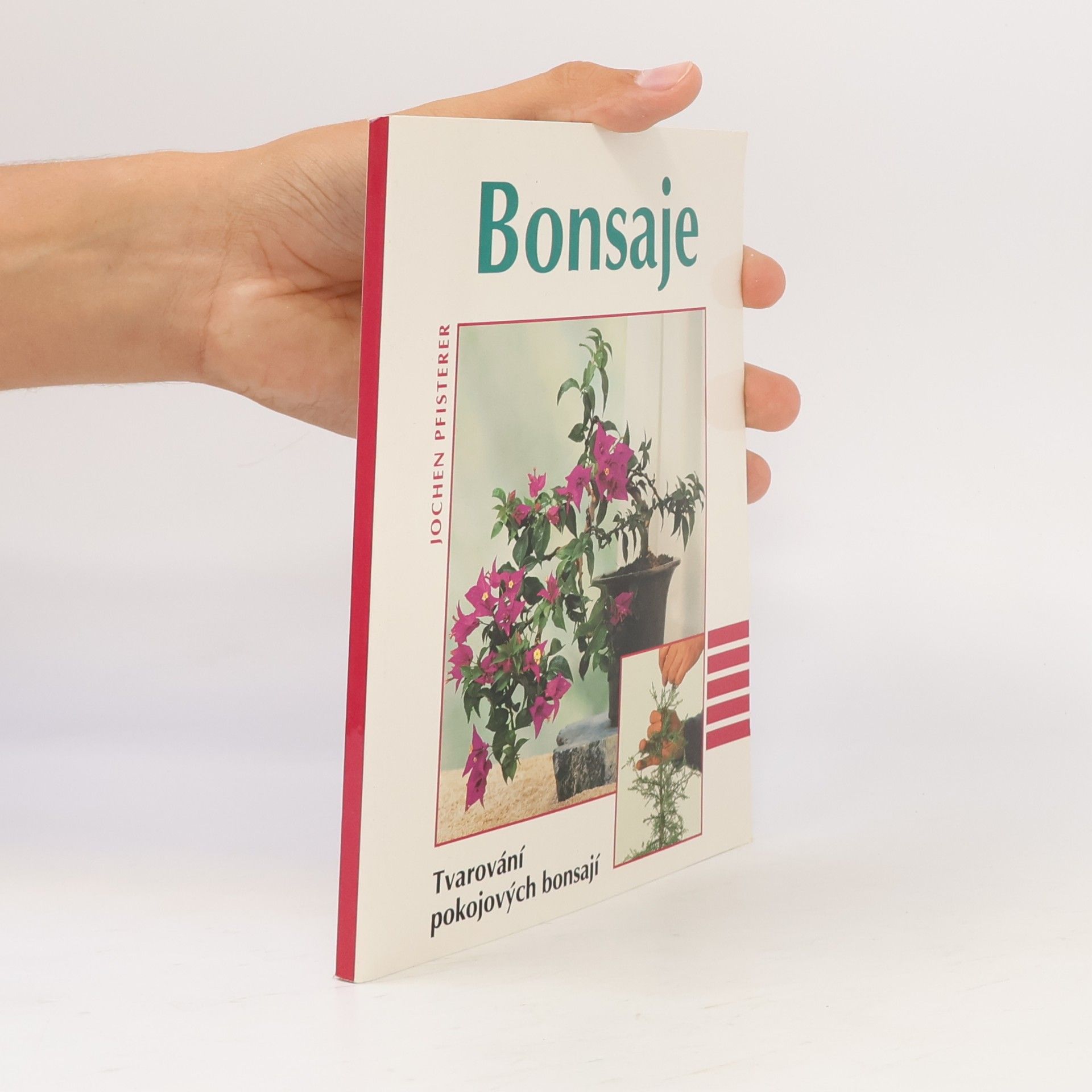 Bonsaje. Tvarování pokojových bonsají