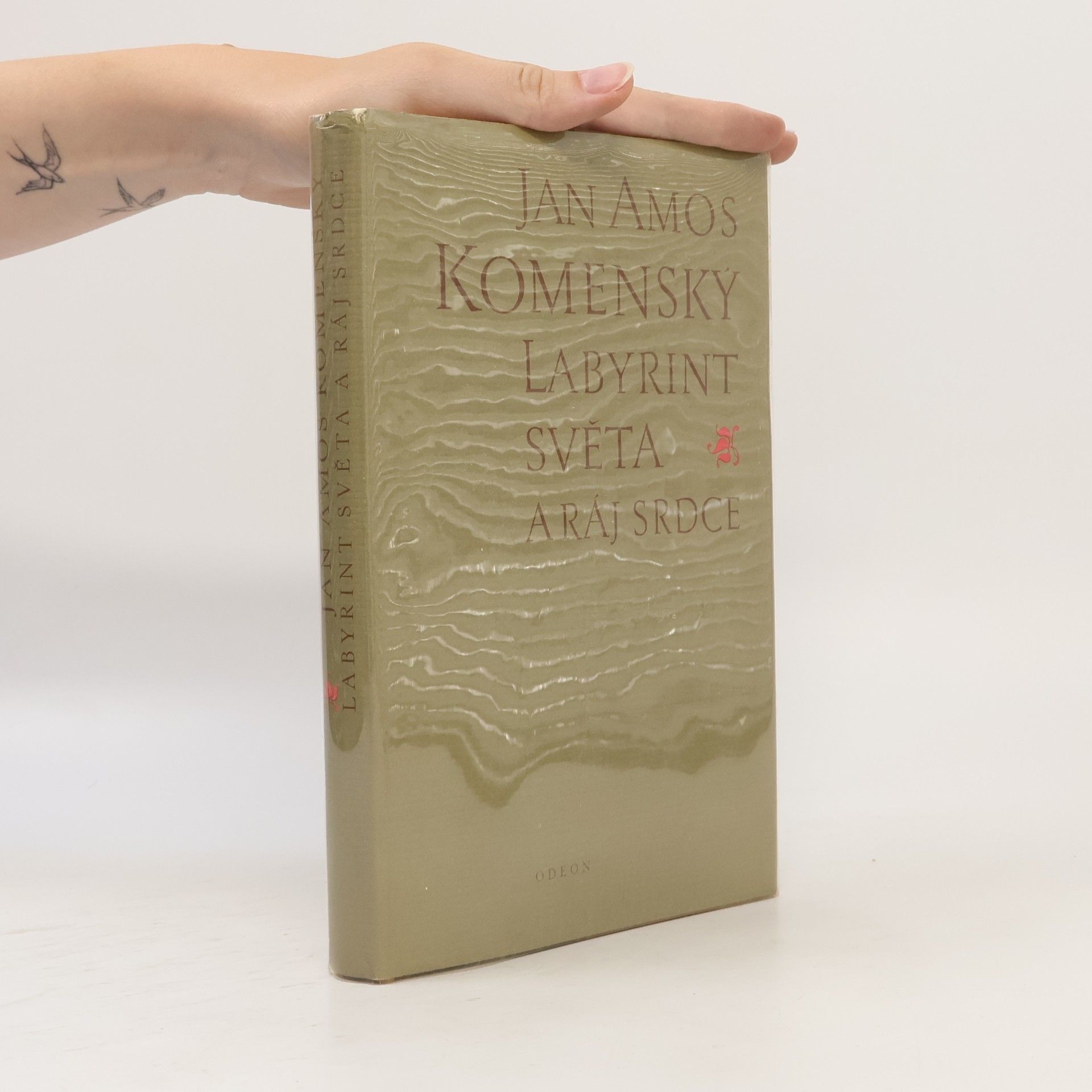 Jan Amos Komenský Labyrint světa a ráj srdce