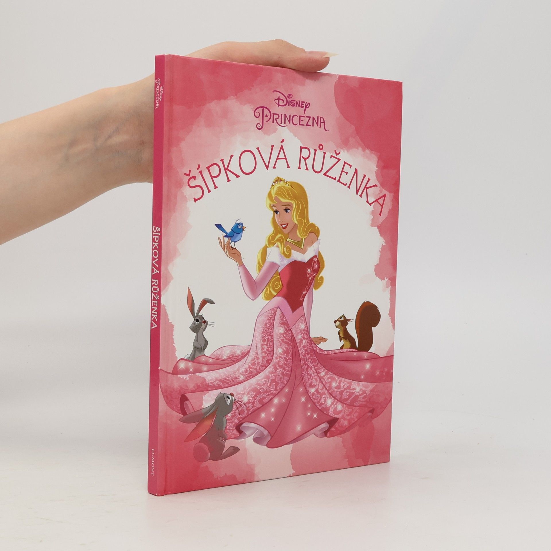 Disney Storybook Artists Šípková Růženka